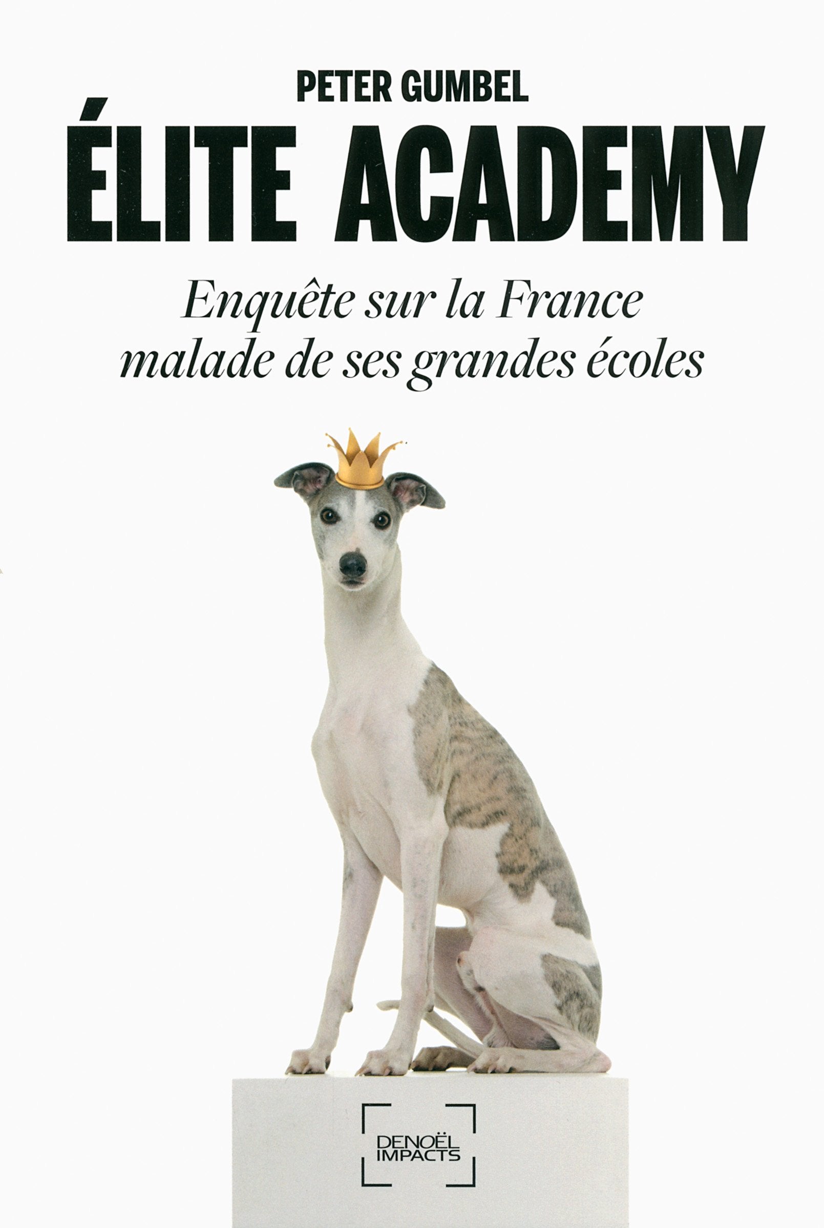Élite Academy: Enquête sur la France malade de ses grandes écoles Essays & Short Stories
