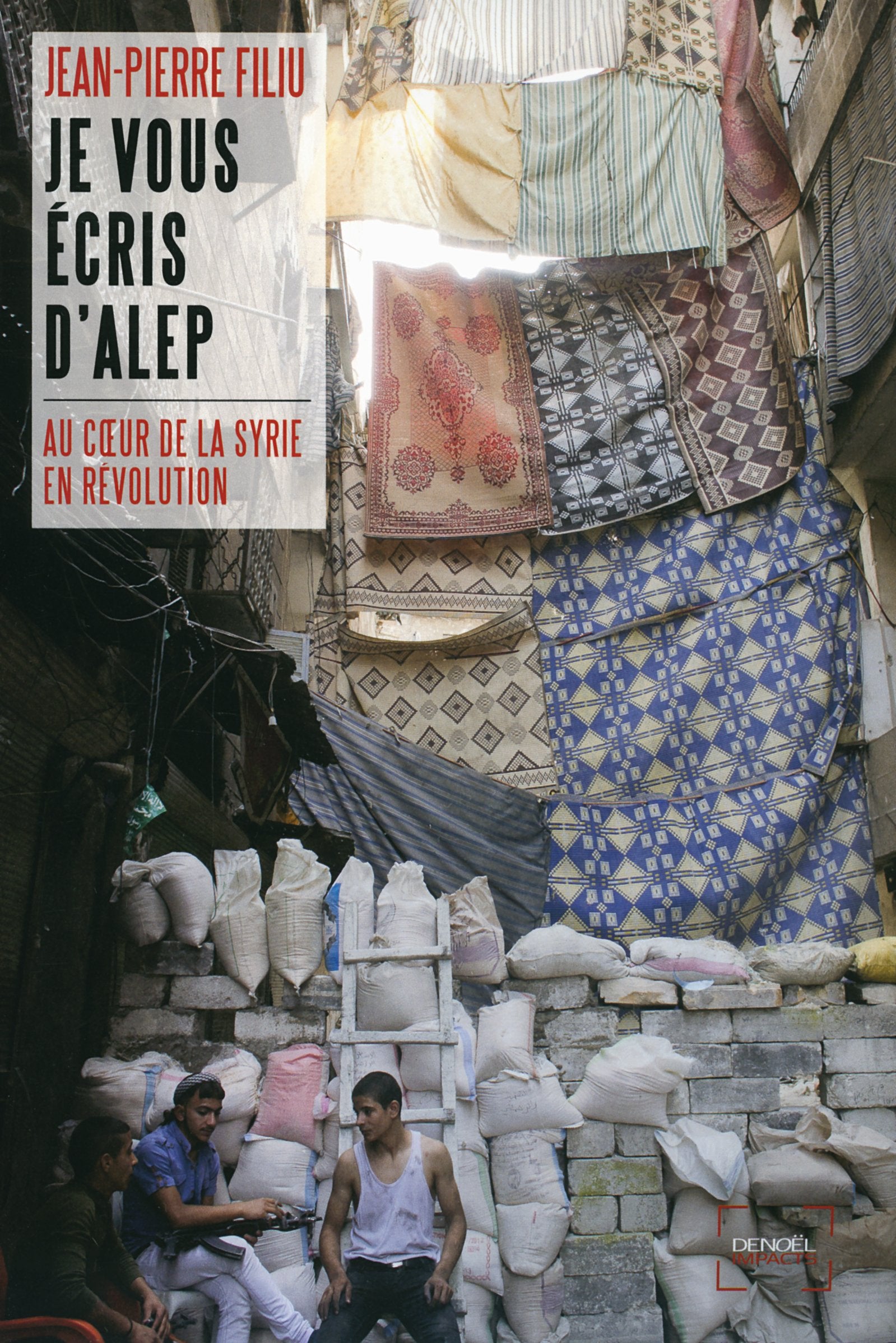 Je vous ecris d'Alep: au coeur de la Syrie en revolution Contemporary literature