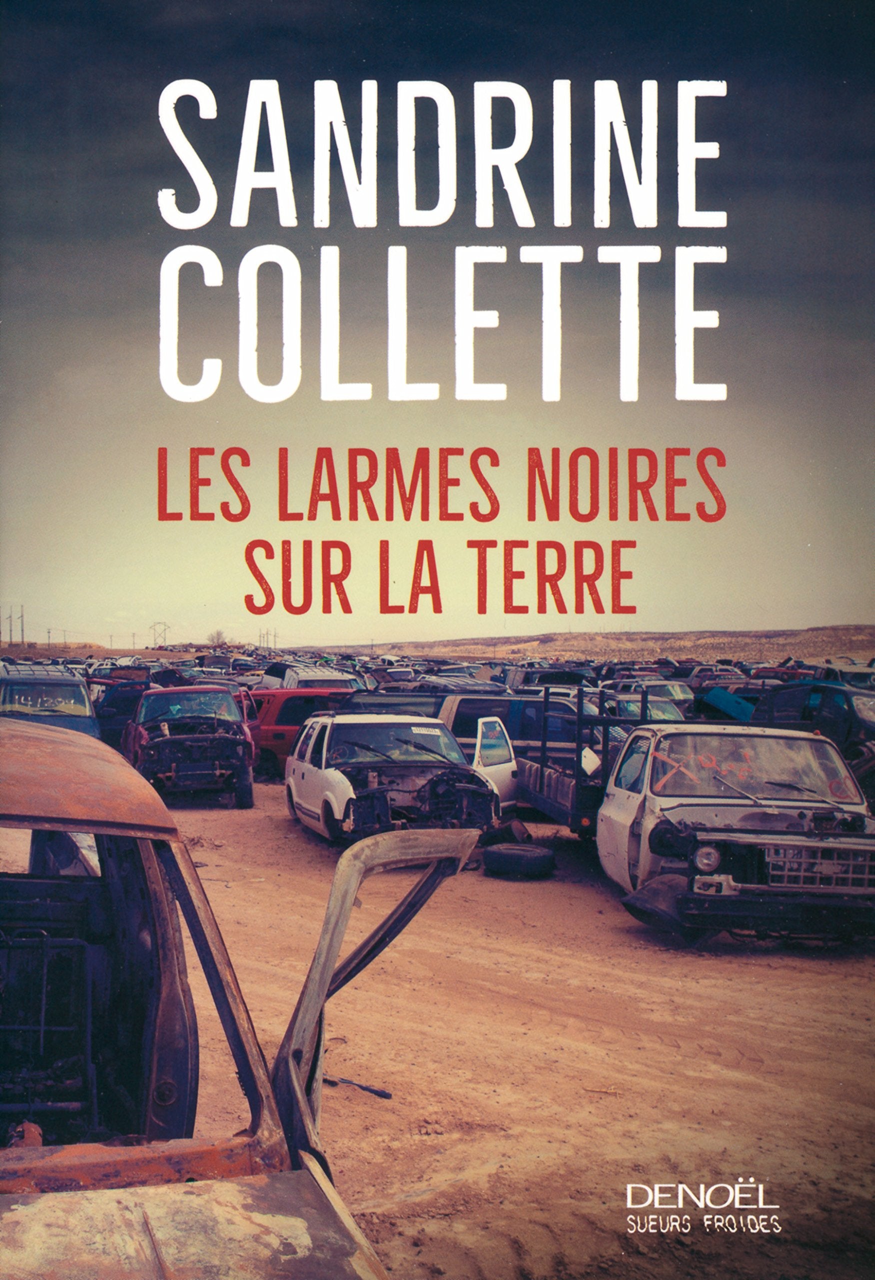 Les Larmes noires sur la terre Contemporary literature