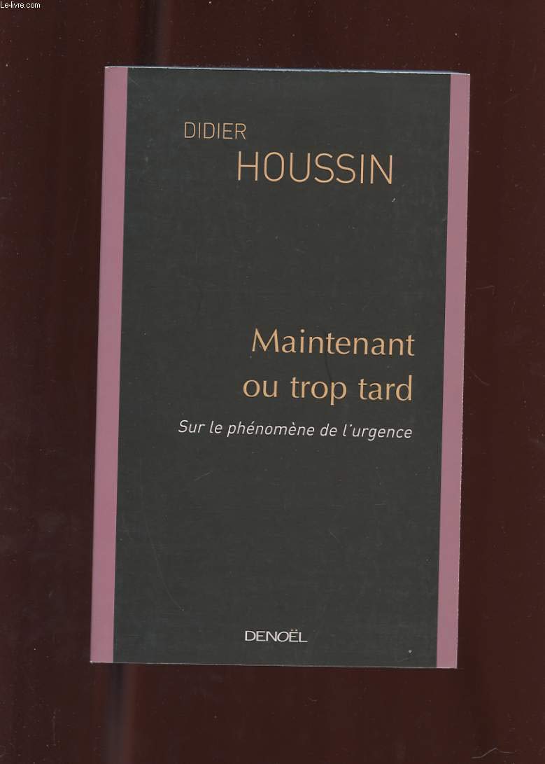 Maintenant ou trop tard : Sur le phénomène de l'urgence book