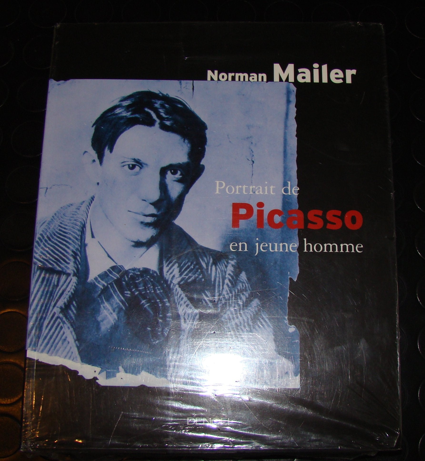 Portrait de Picasso en jeune homme book