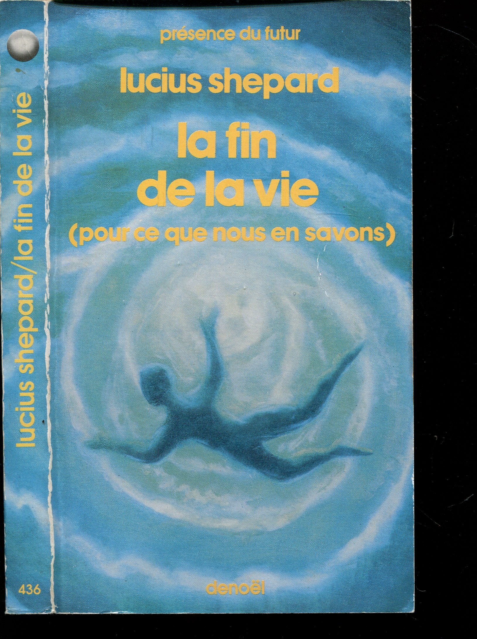Nouvelles. Vol. 2. La Fin de la vie : pour ce que nous en savons Contemporary literature