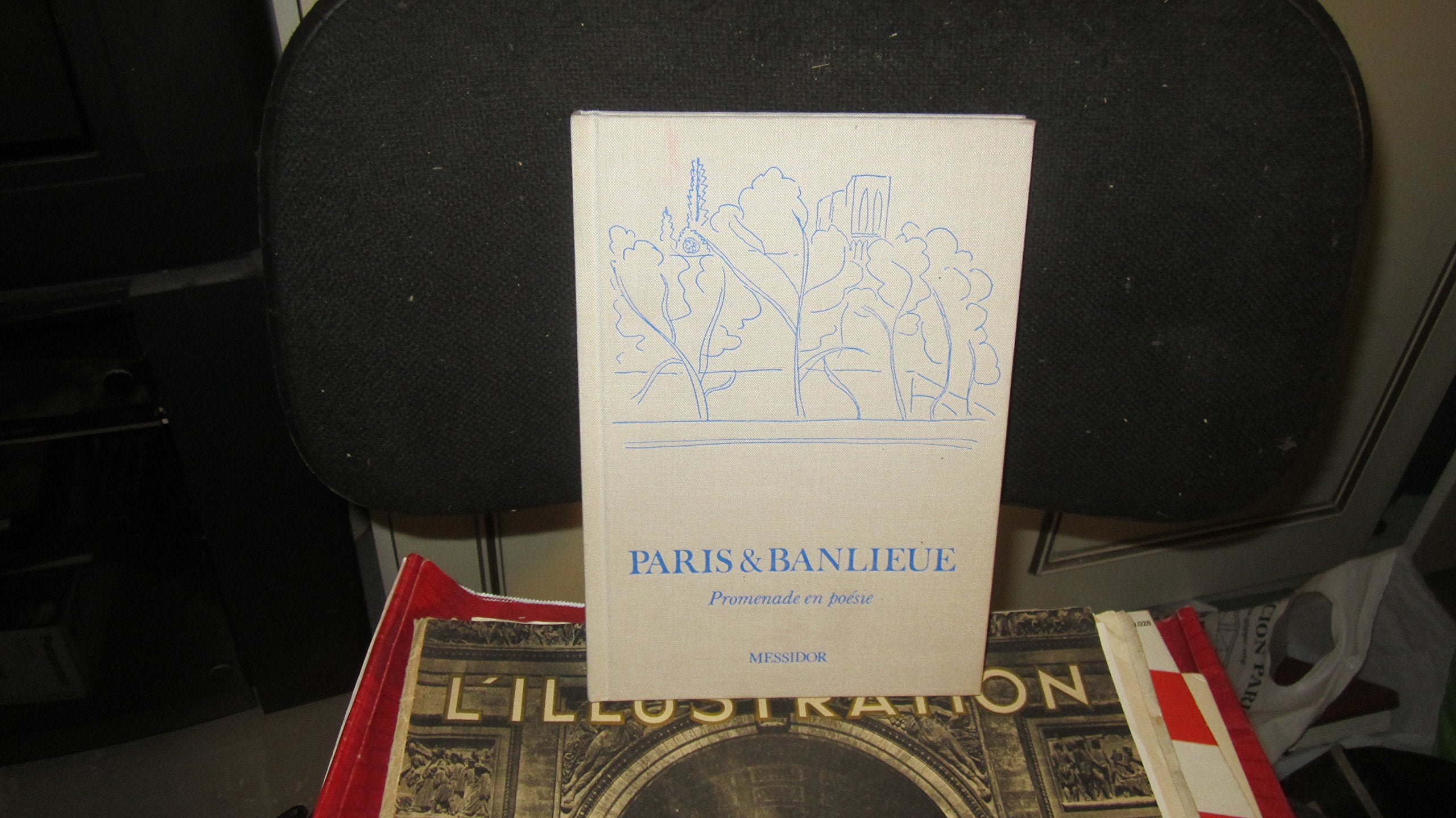 Paris et banlieue : Promenade en poésie book