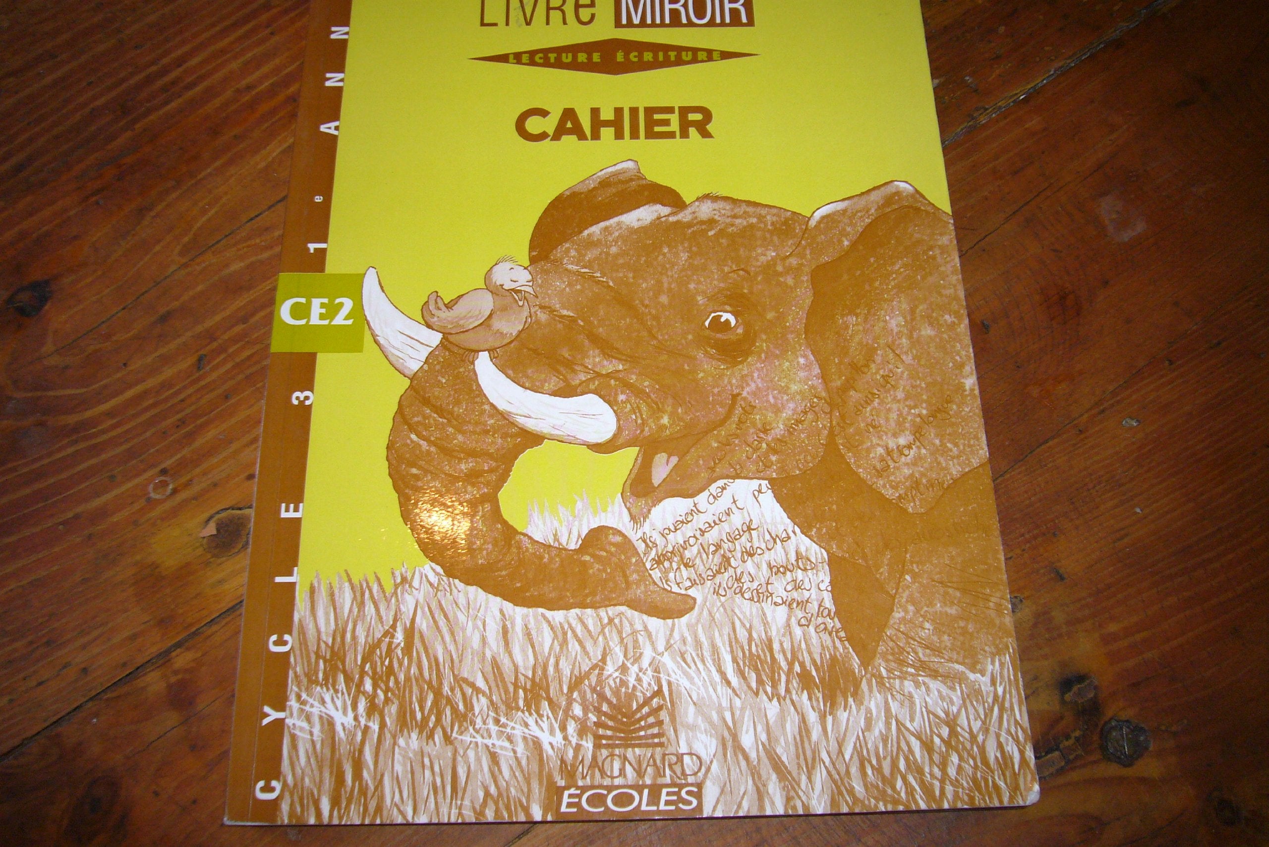LECTURE ECRITURE CE2 CYCLE 3 1ERE ANNEE.: Cahier Books