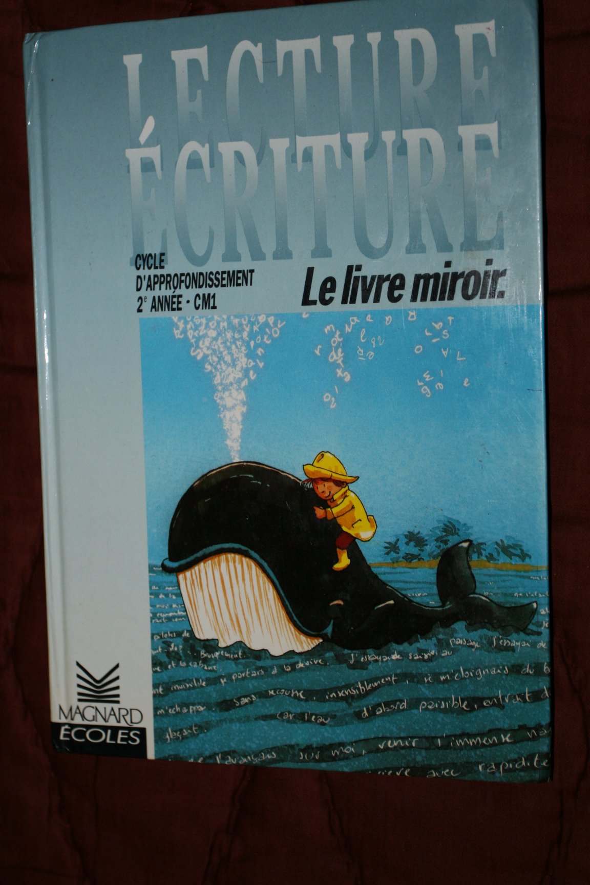 Lecture, écriture: Le livre miroir, cycle d'approfondissment, 2e année CM1 Books