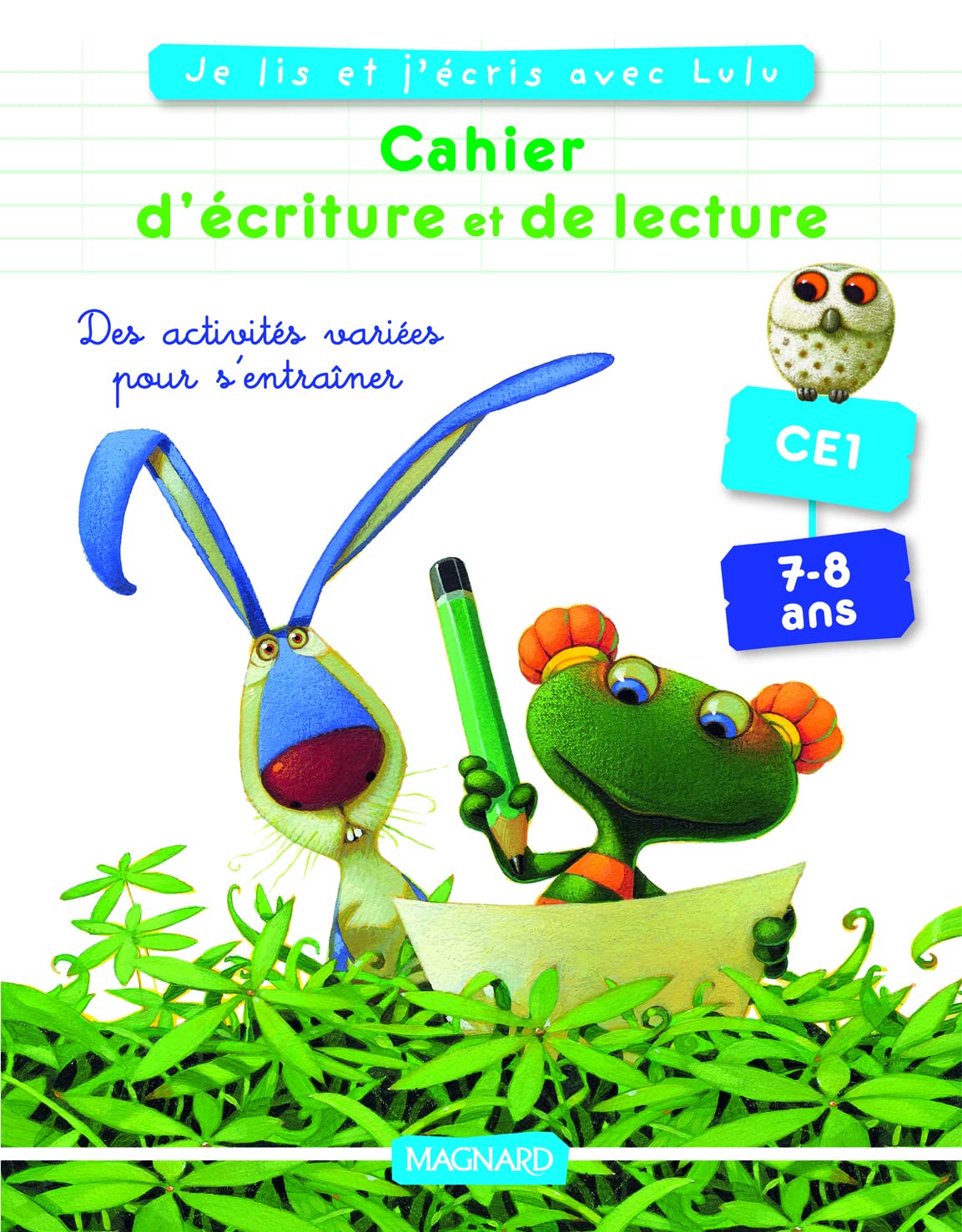 Cahier Lulu Vroumette Lecture-écriture CE1 Professional & Reference Books