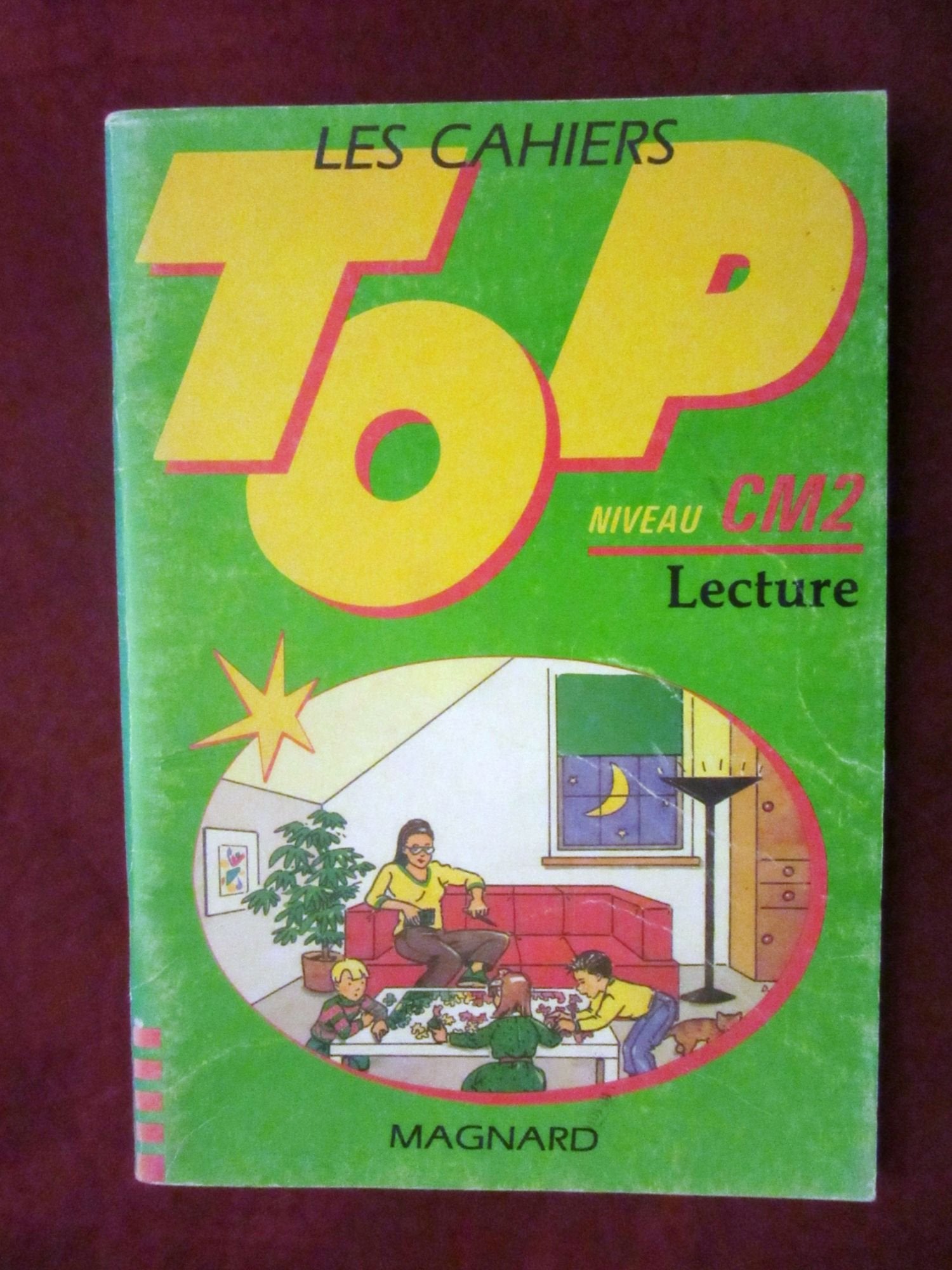 Les Cahiers Top Tome 6: Lecture , niveau CM 2 book