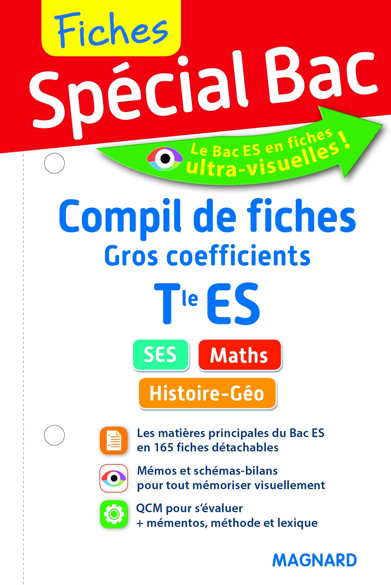 Spécial Bac Compil de Fiches gros coefficients Tle ES Professional & Reference Books