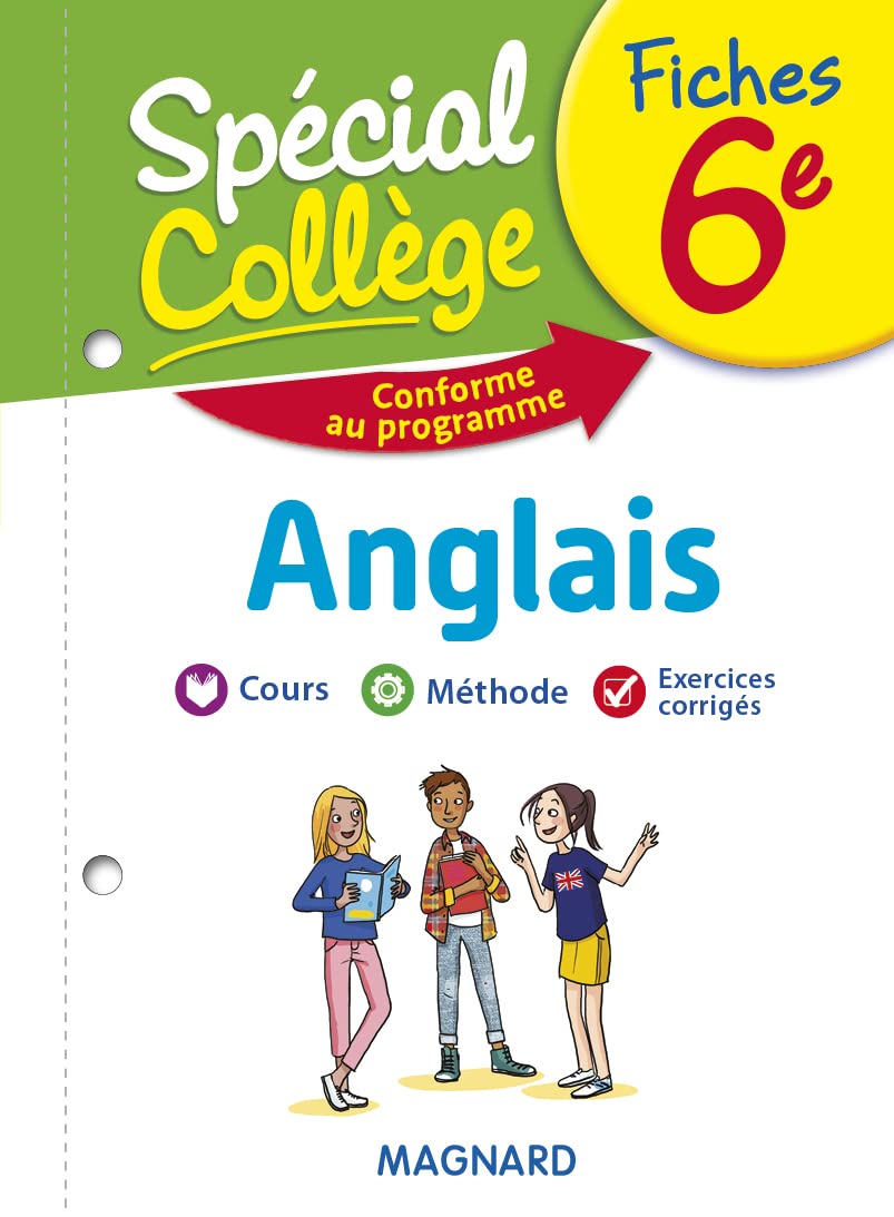 Spécial Collège Fiches Anglais 6e Professional & Reference Books