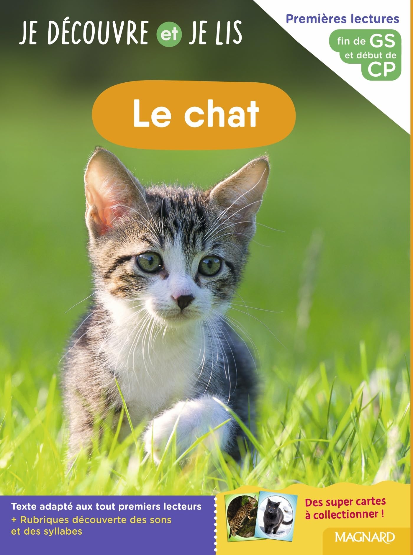 Je découvre et je lis GS et CP - Le chat: Fin de GS et début de CP book