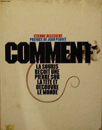 Comment la souris reçoit une pierre sur la tête et découvre le monde. book