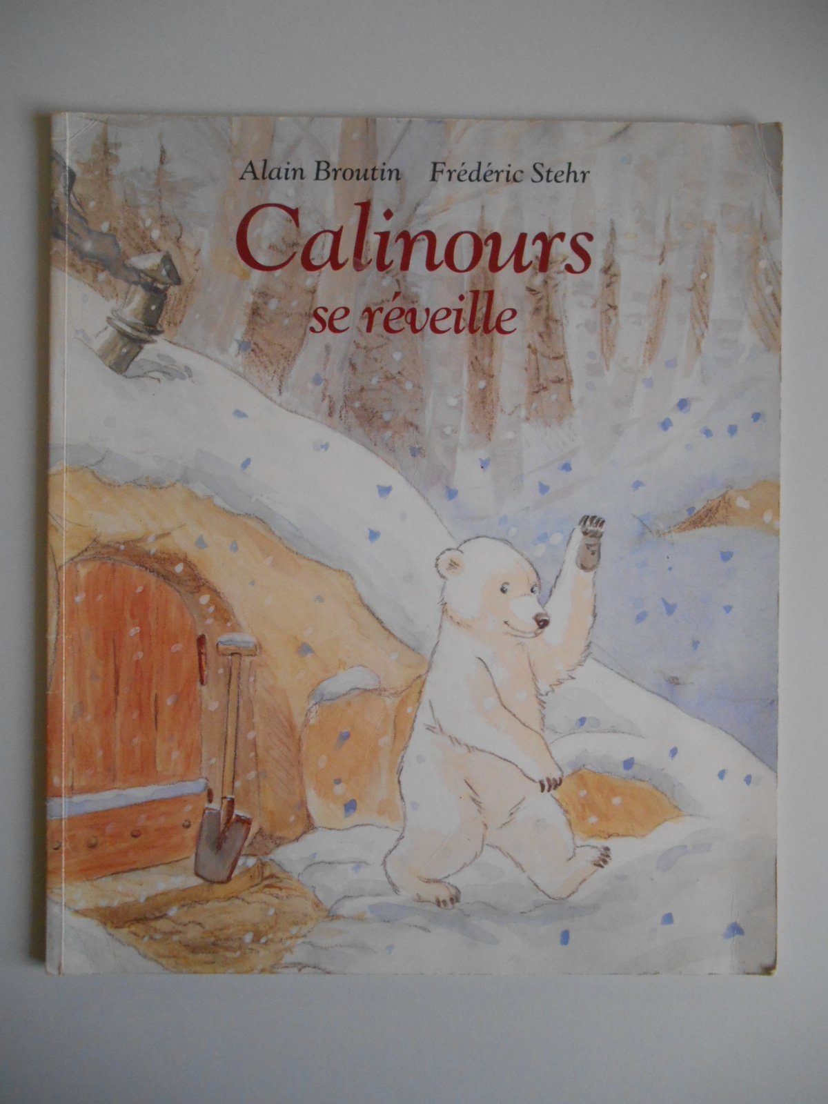 Calinours se réveille book