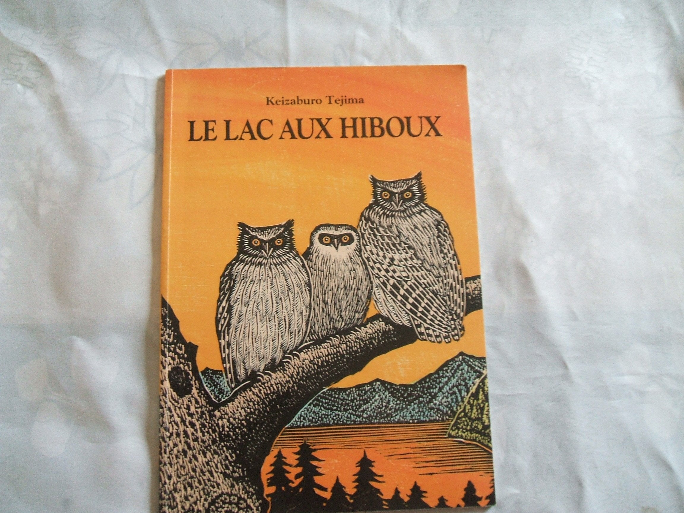 Le Lac aux hiboux book