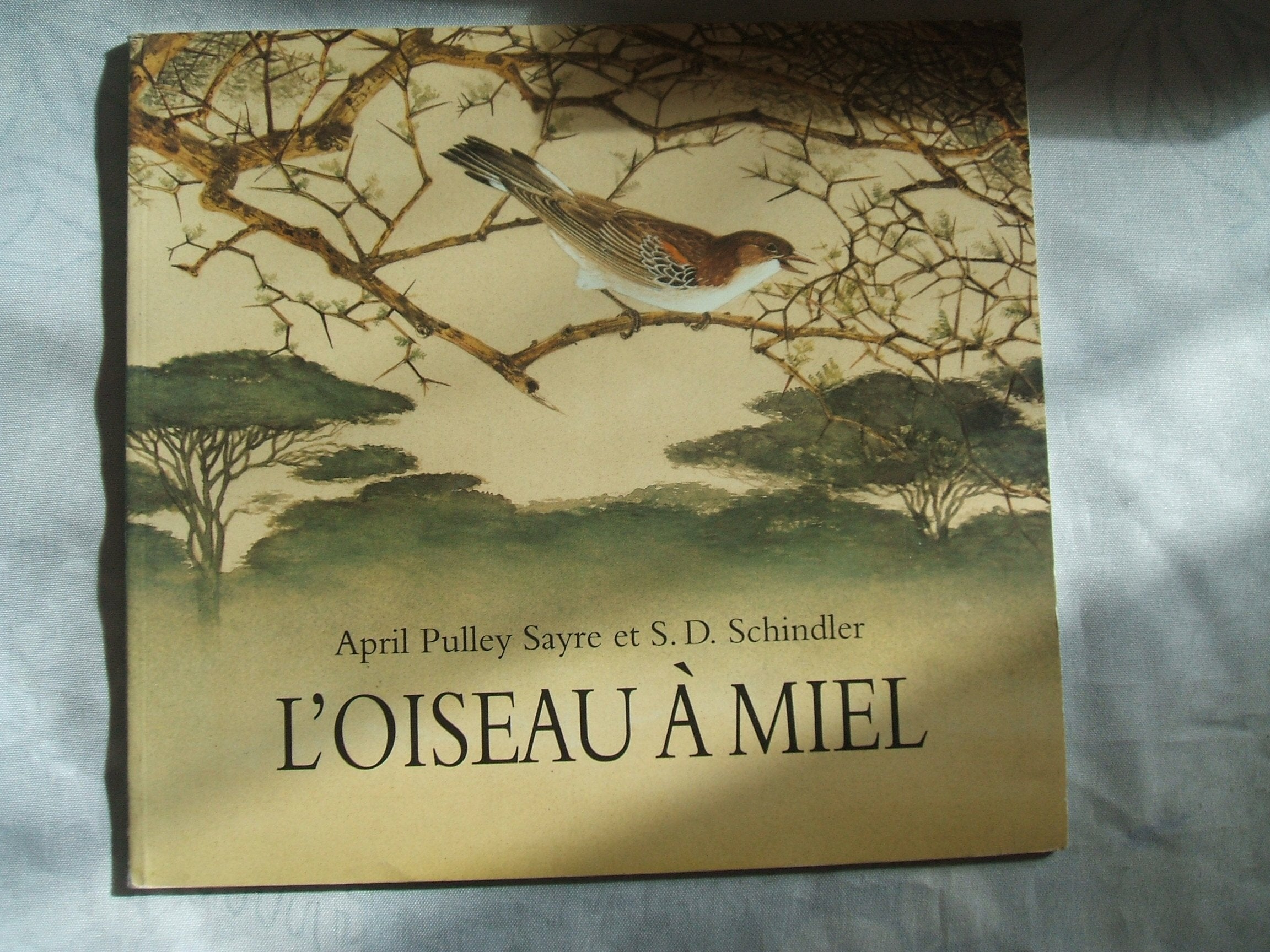 l'oiseau a miel Children's books