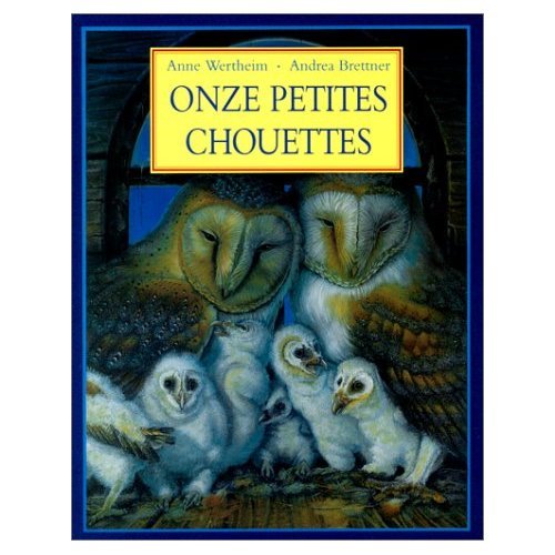 Onze petites chouettes book