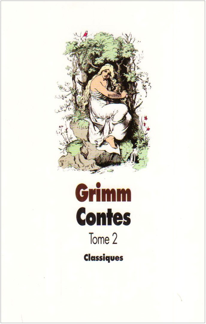 Contes pour les enfants et les parents. Vol. 2 book