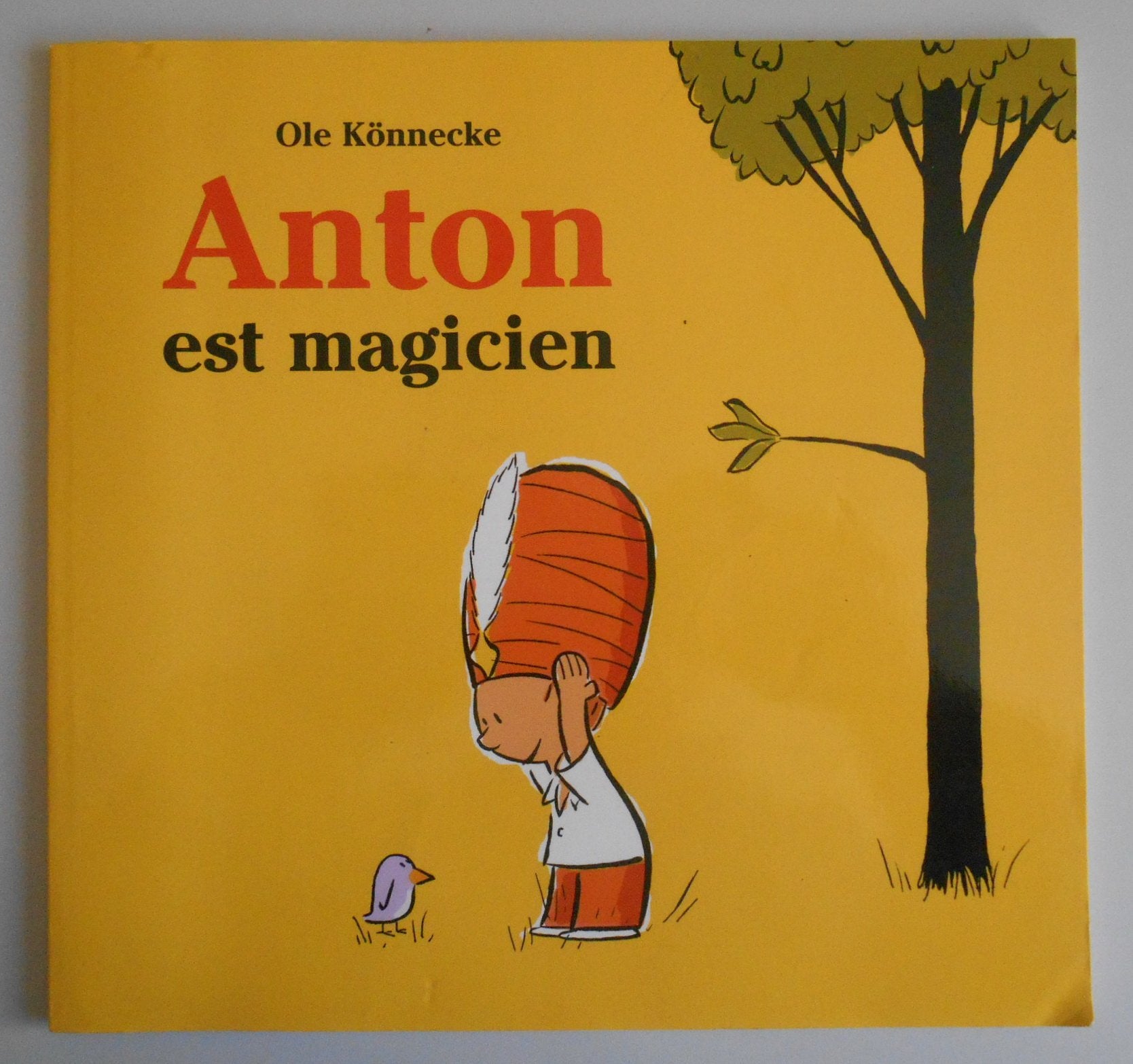 ANTON EST MAGICIEN Books