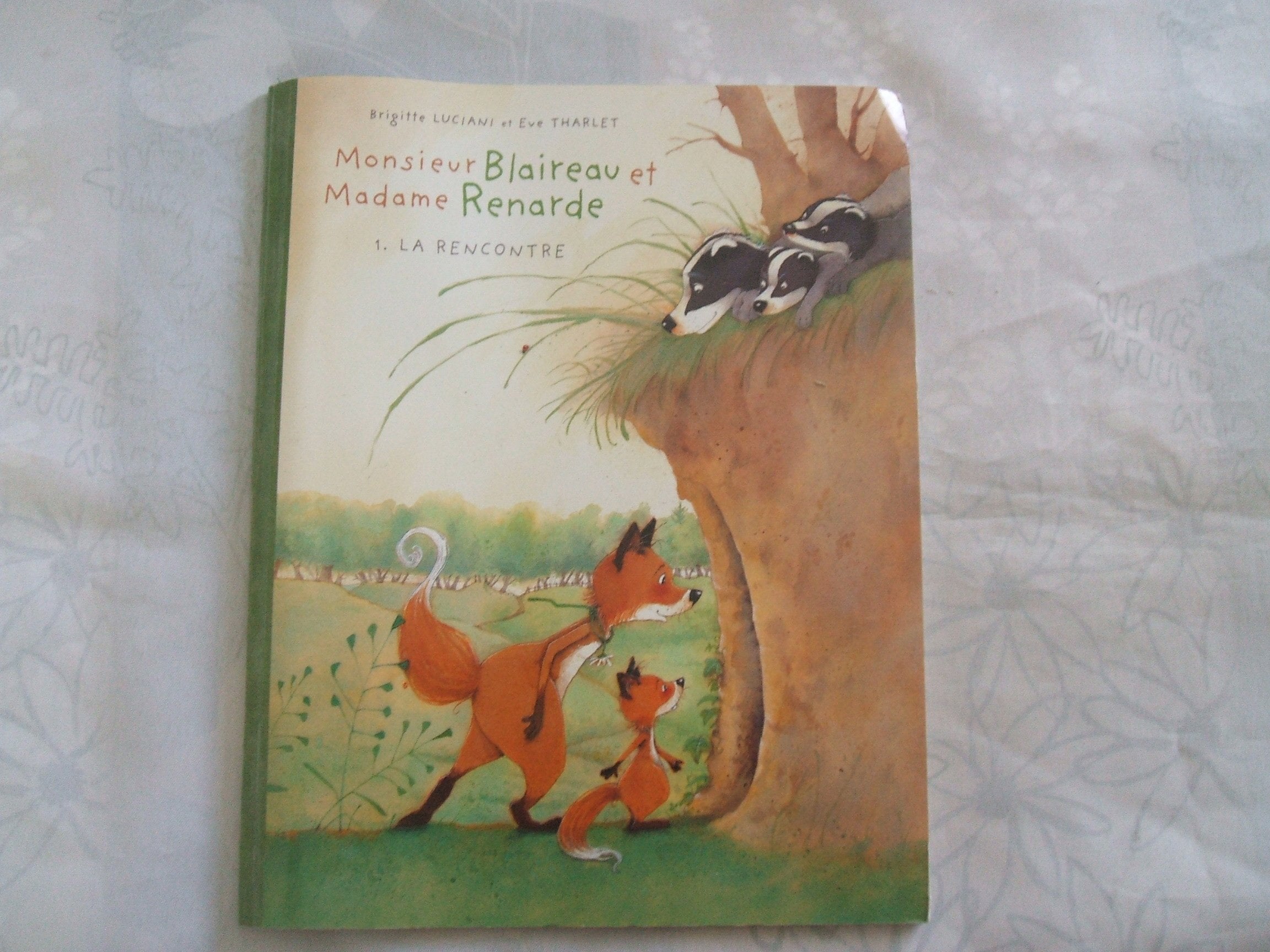 Monsieur Blaireau et Madame Renarde Tome 1 La rencontre Books