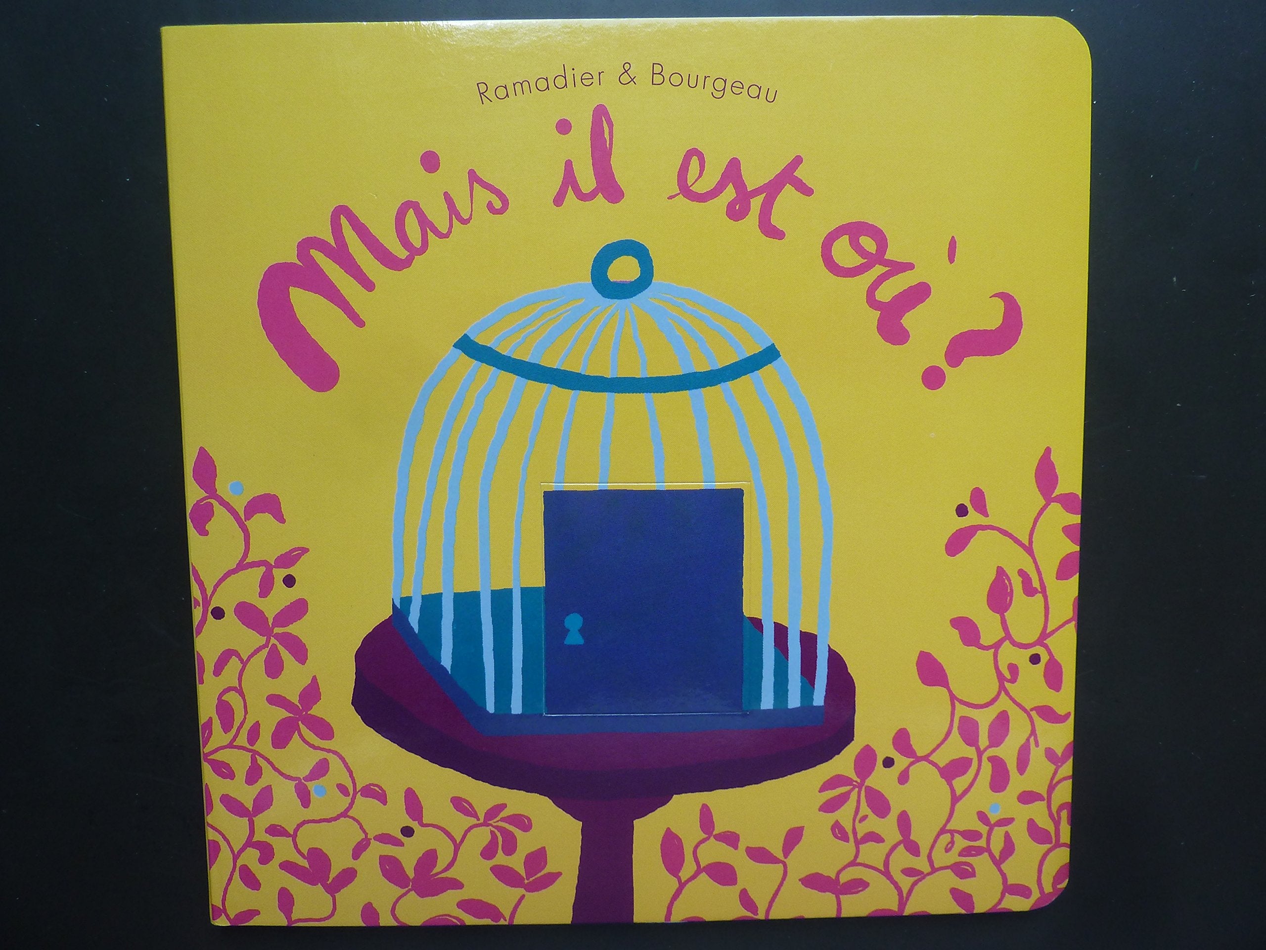 Mais il est où ? Books