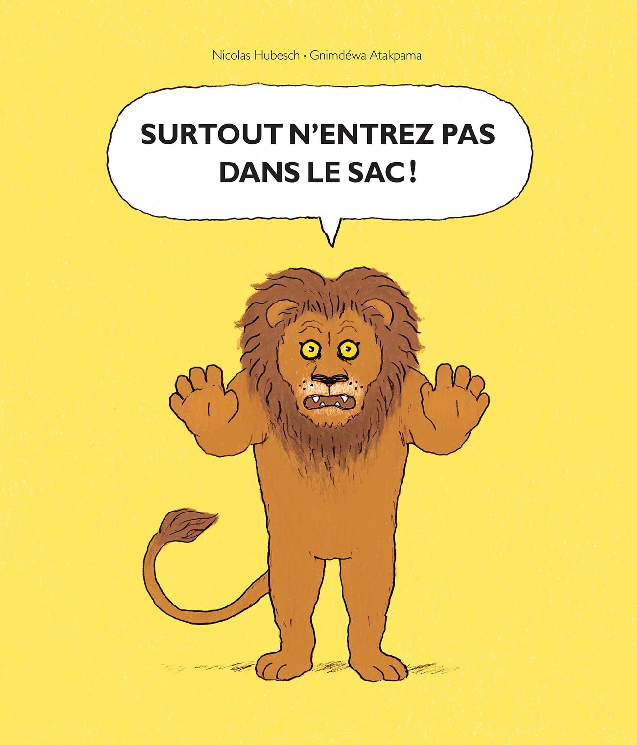 Surtout n'entrez pas dans le sac ! Children's books