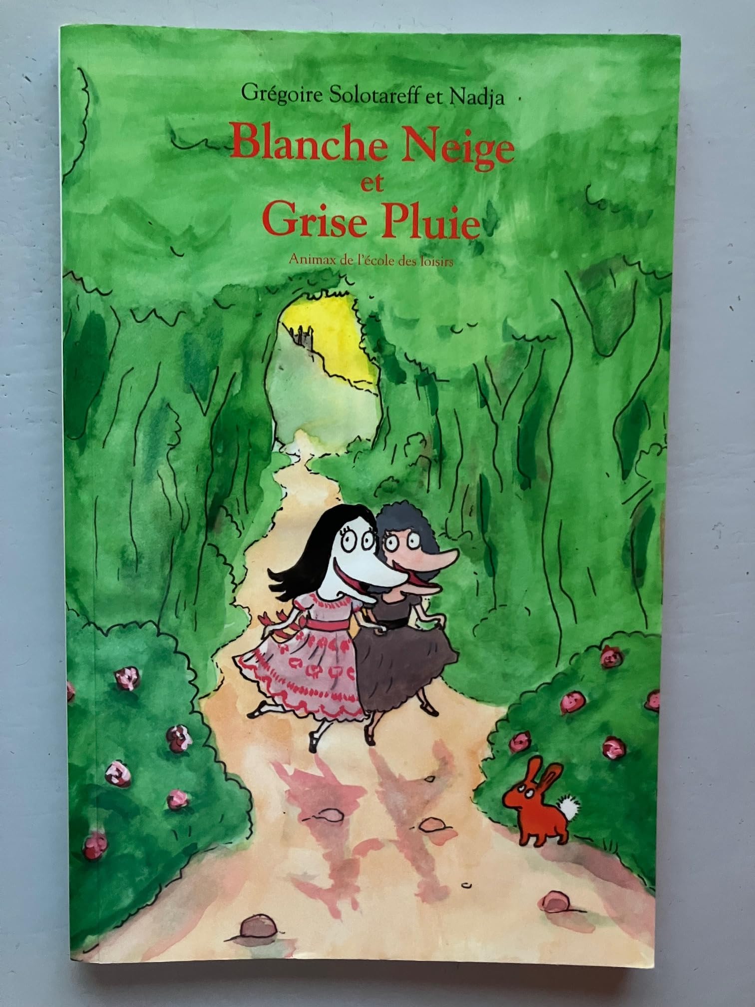 Blanche-Neige et Grise-Pluie Contemporary literature