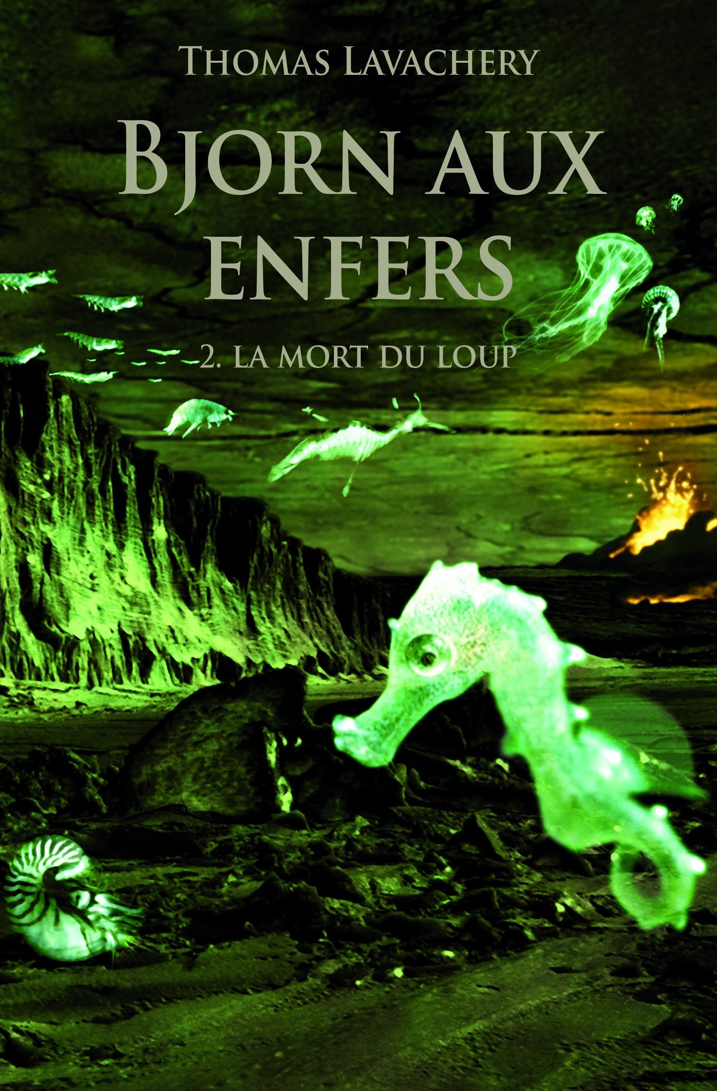 BJORN AUX ENFERS T2 POCHE LA MORT DU LOUP Novels & Short Stories