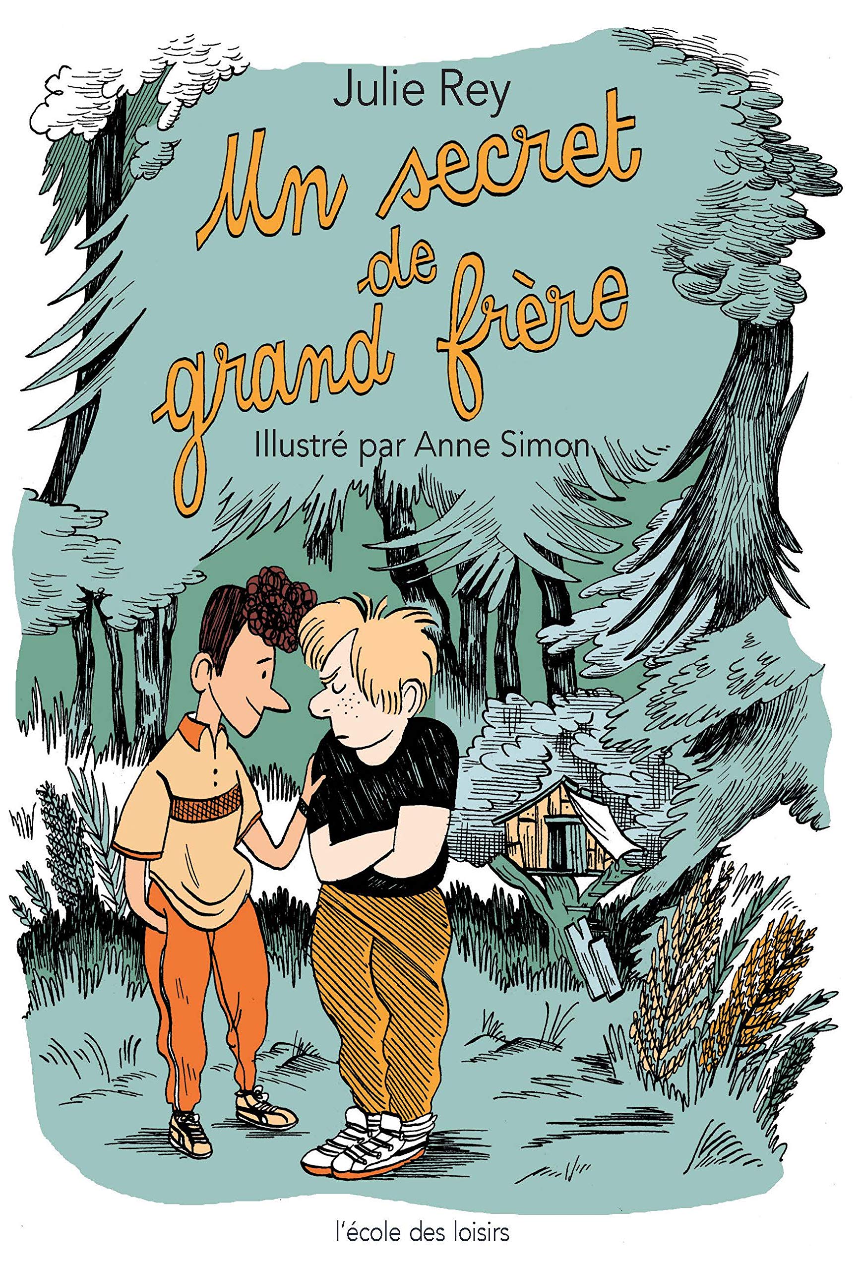 Secret de grand frère (Un) book
