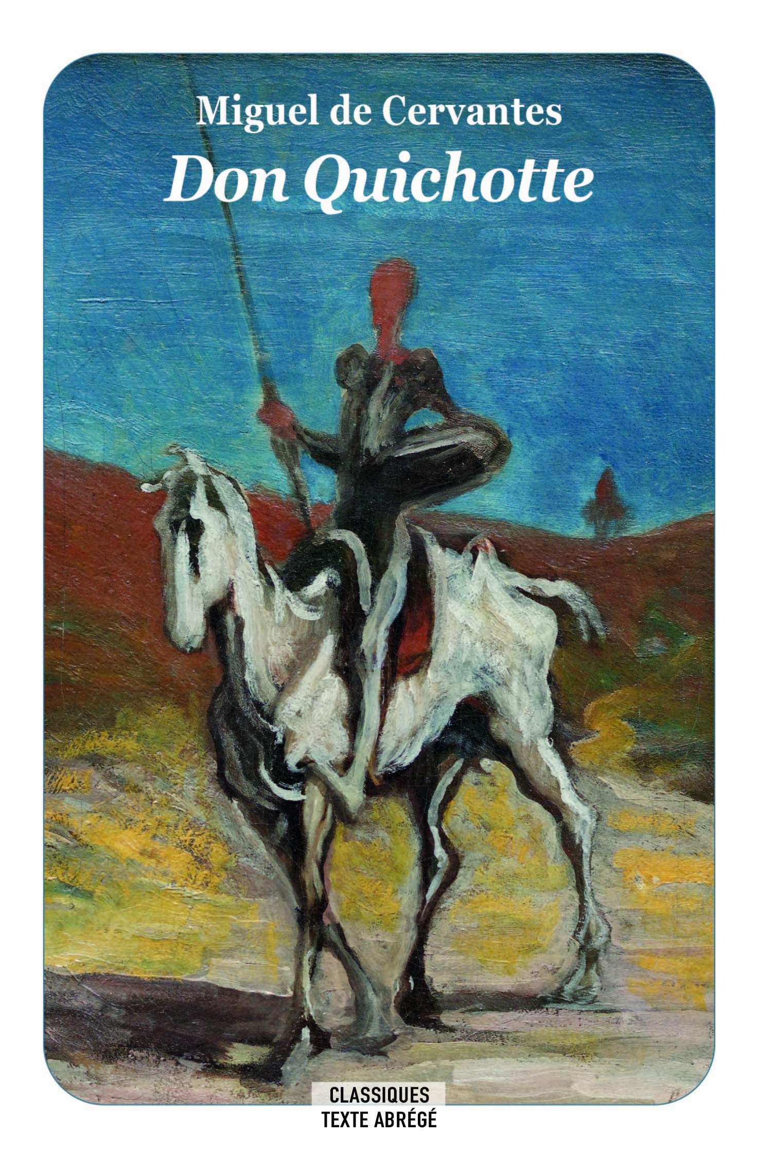 Don Quichotte (Texte abrégé - Nouvelle Edition) book
