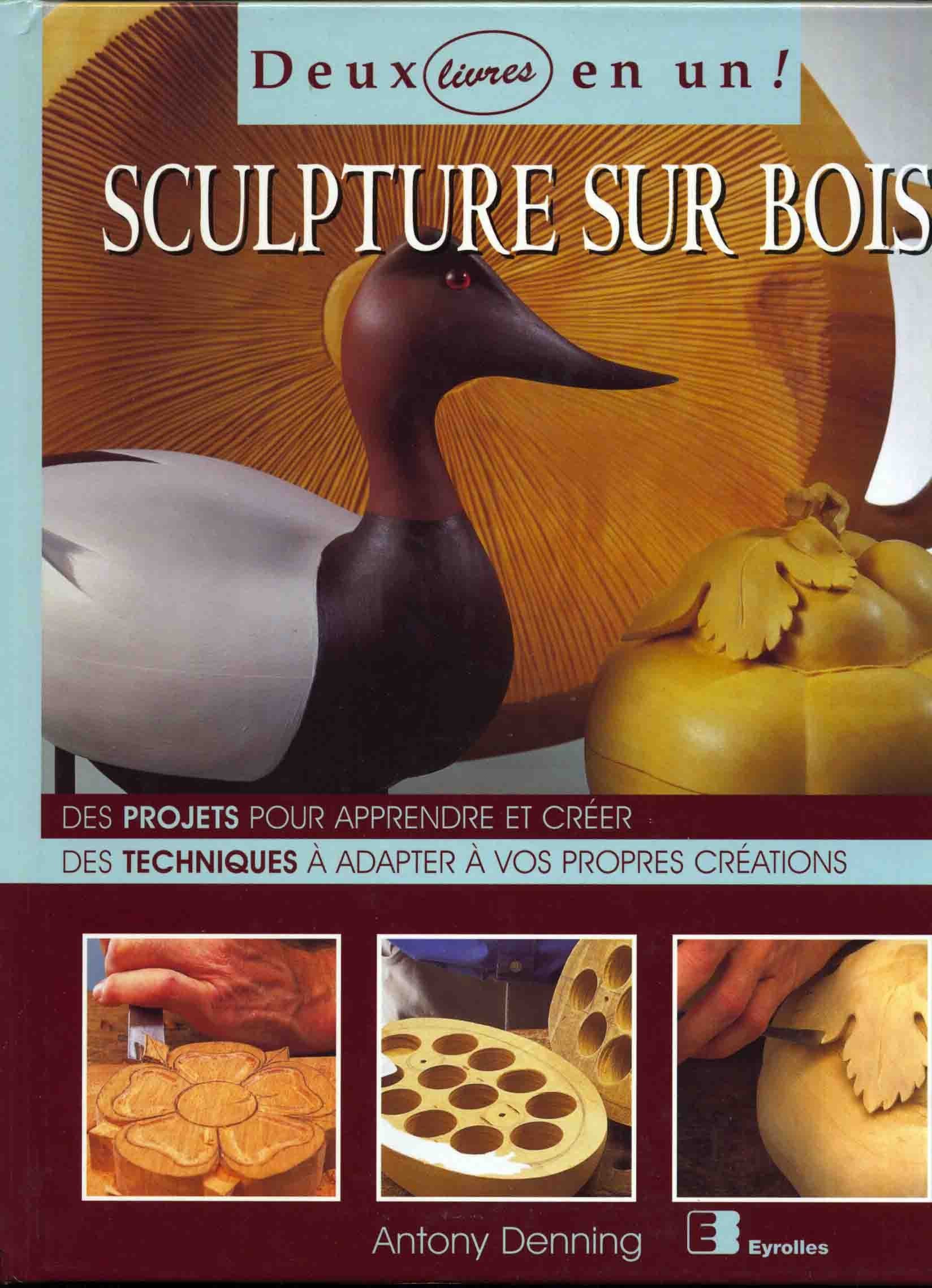 Sculpture Sur Bois. Des Projets Pour Apprendre A Creer, Des Techniques A Adapter A Vos Propres Creations. Books