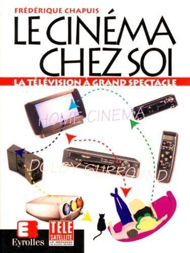 Le Cinema Chez Soi. La Television A Grand Spectacle book