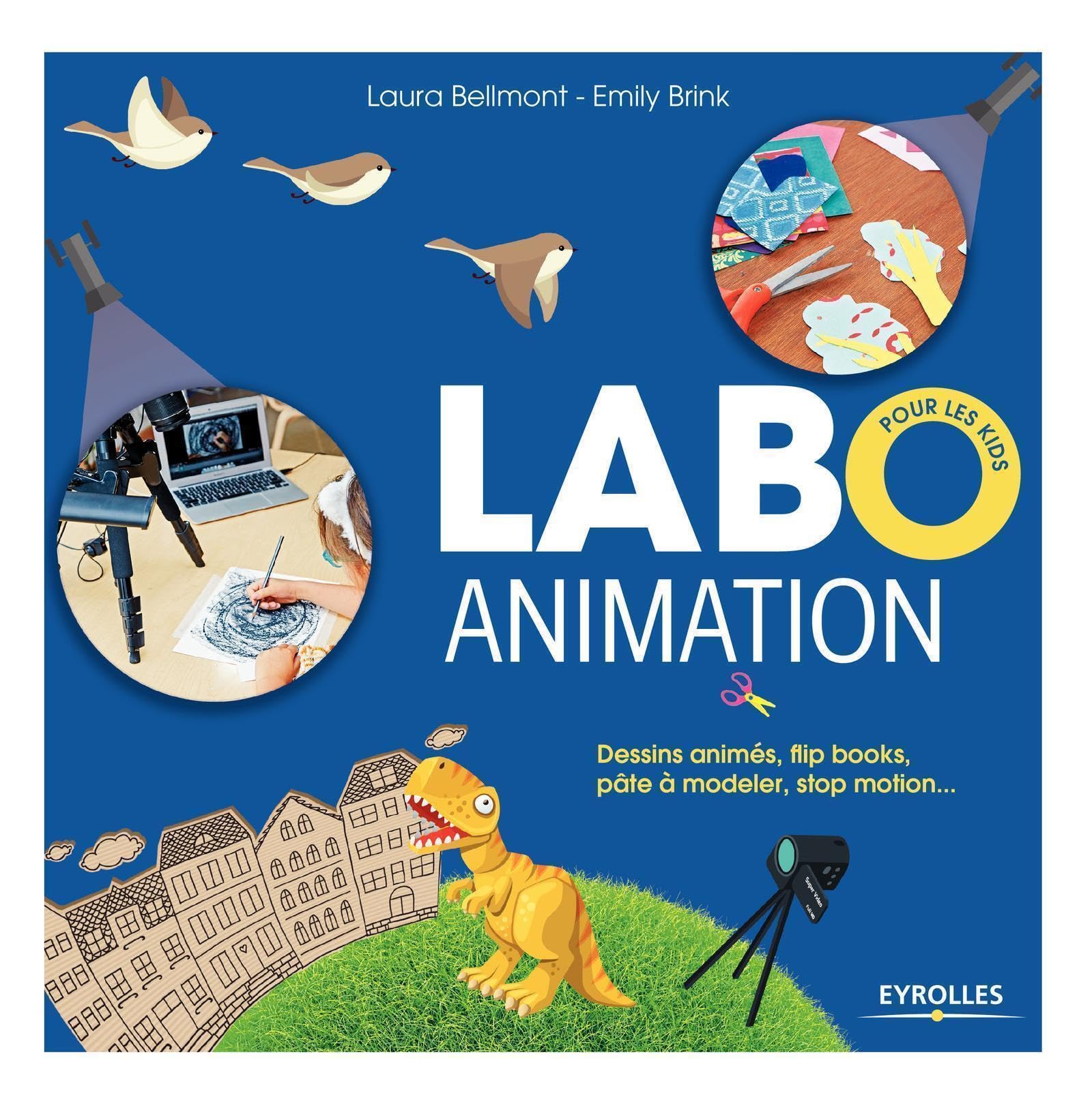 Labo animation: Dessins animés, flipbooks, pâte à modeler, stop motion... book