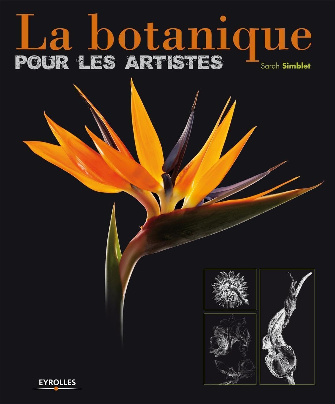 La botanique pour les artistes Arts & Music