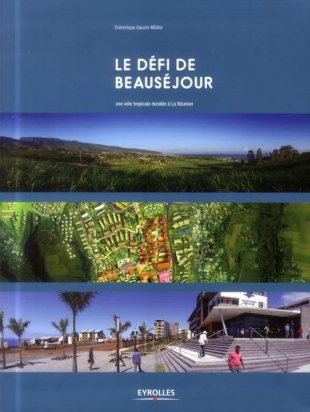 Le défi de Beauséjour: Une ville tropicale durable à La Réunion. book
