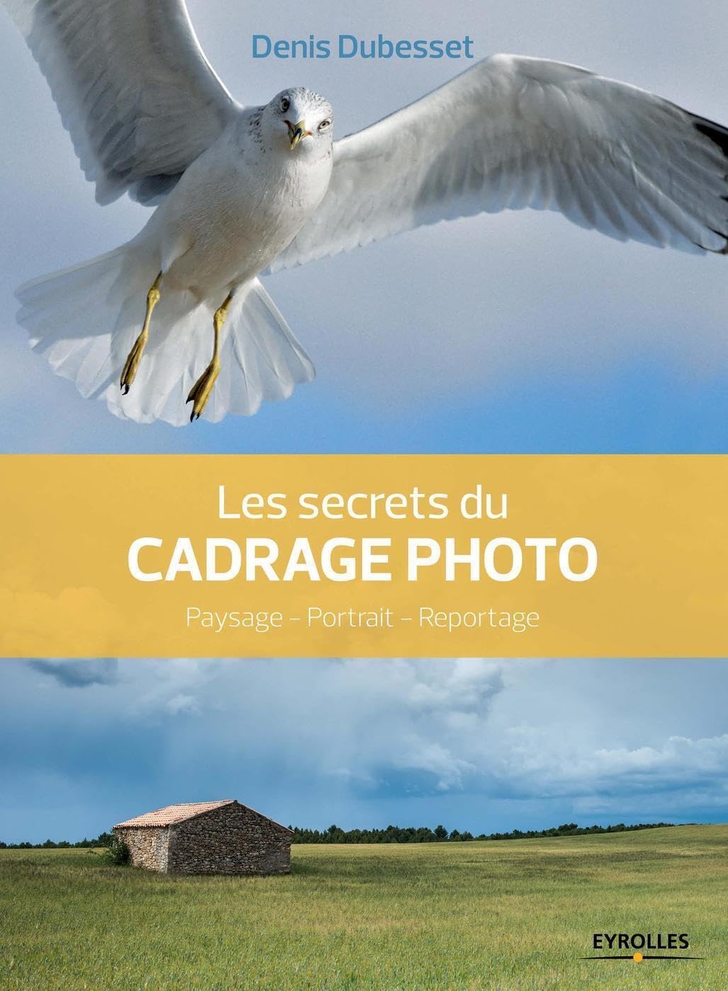 Les secrets du cadrage photo: Paysage - Portrait - Reportage. book