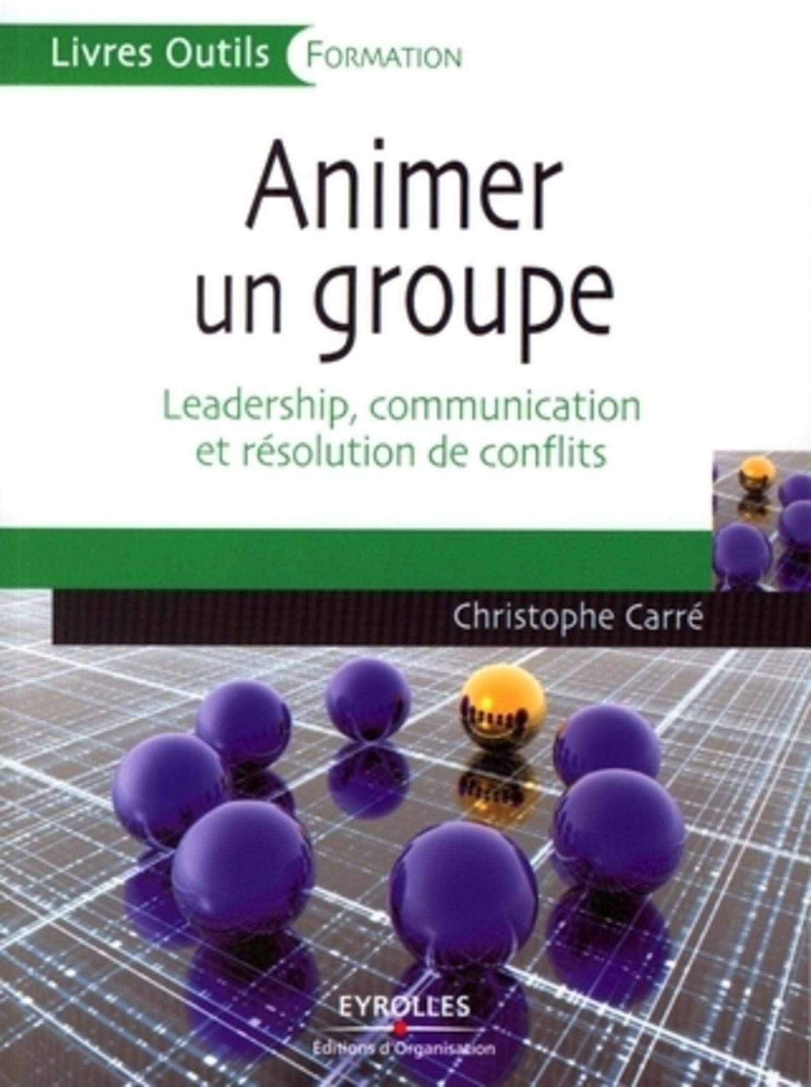 ANIMER UN GROUPE. LEADERSHIP, COMMUNICATION ET RESOLUTION DECONFLITS: LEADERSHIP, COMMUNICATION ET RESOLUTION DE CONFLITS Books