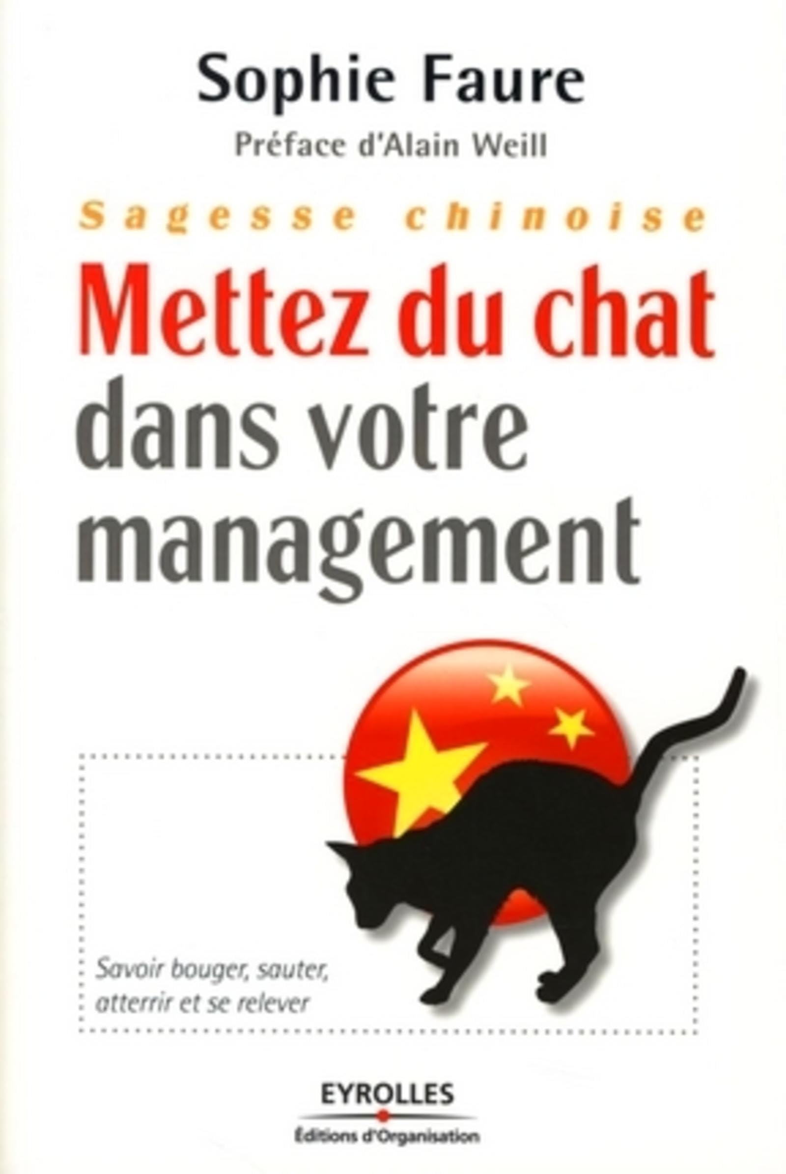Sagesse chinoise : mettez du chat dans votre management !: Savoir bouger, sauter, aterrir et se relever Business, Finance & Career