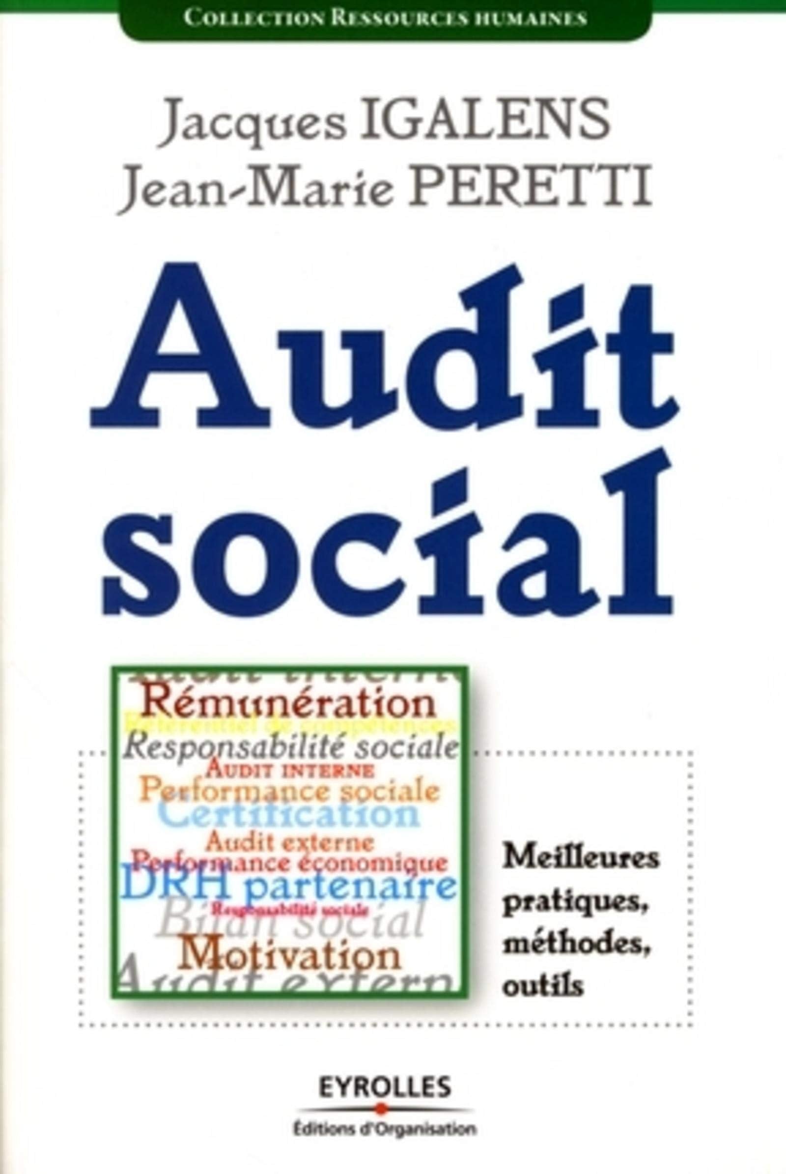 AUDIT SOCIAL - MEILLEURES PRATIQUES, METHODES, OUTILS: MEILLEURES PRATIQUES, METHODES, OUTILS Books