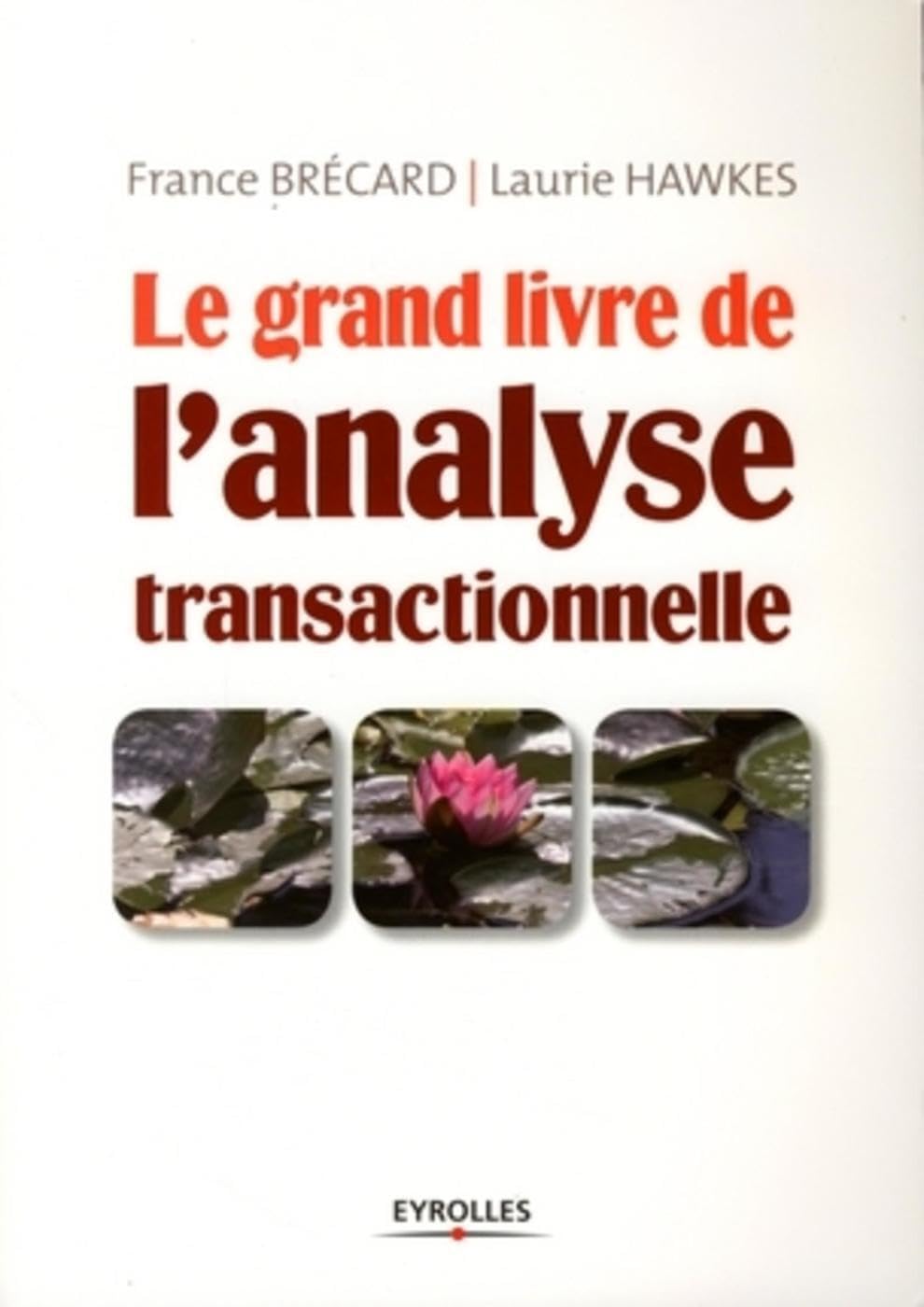 Le grand livre de l'analyse transactionelle Books