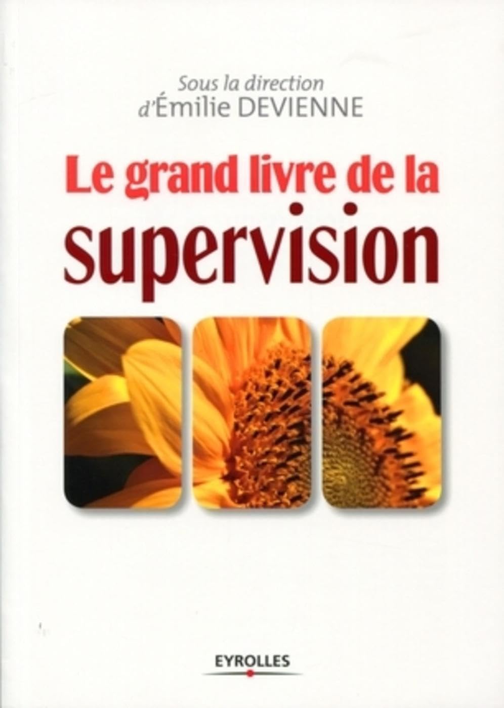 Le grand livre de la supervision Books