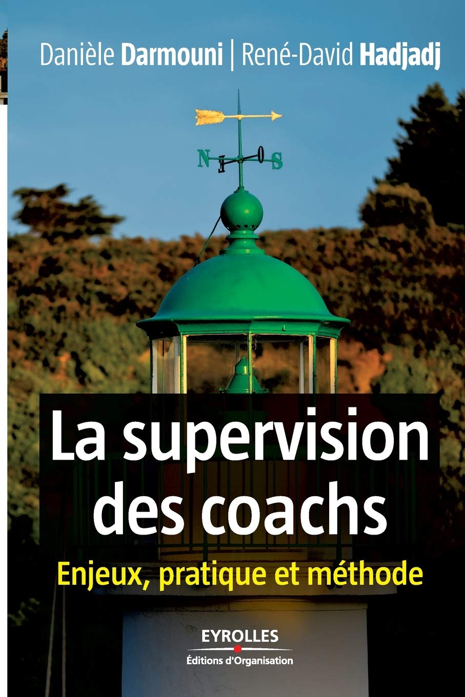 La supervision des coachs: Enjeux, pratique et méthode Business, Finance & Career