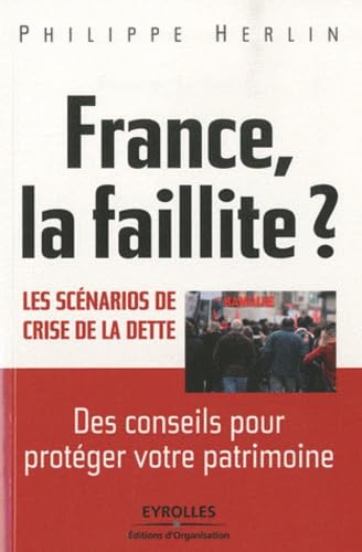France, la faillite ?: Les scénarios de crise de la dette Books