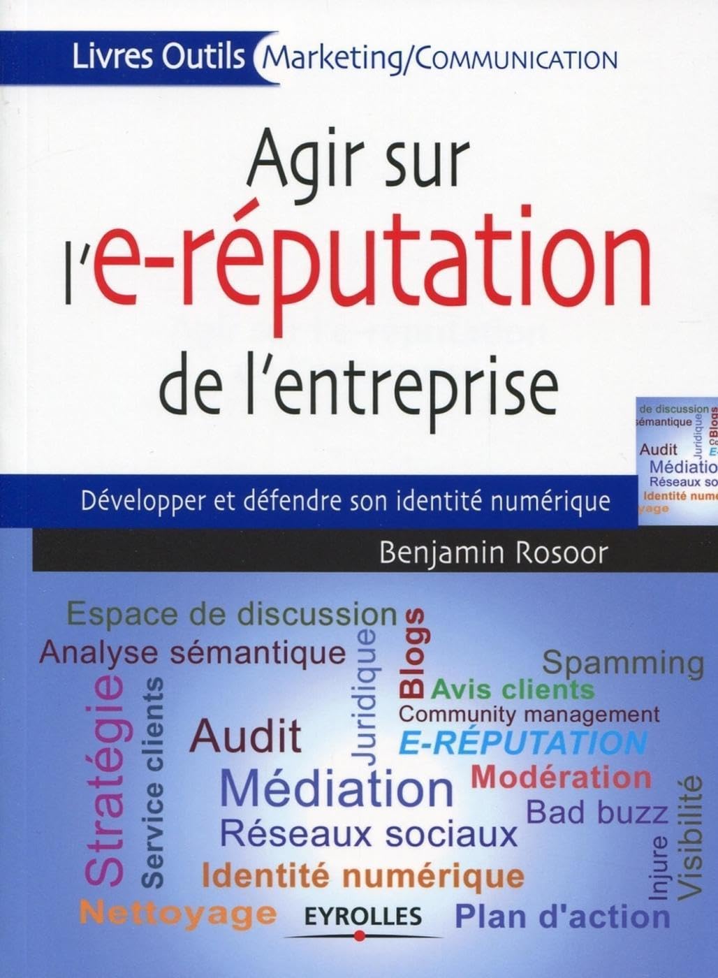Agir sur l'e-réputation de l'entreprise: Développer et défendre son identité numérique. Business, Finance & Career