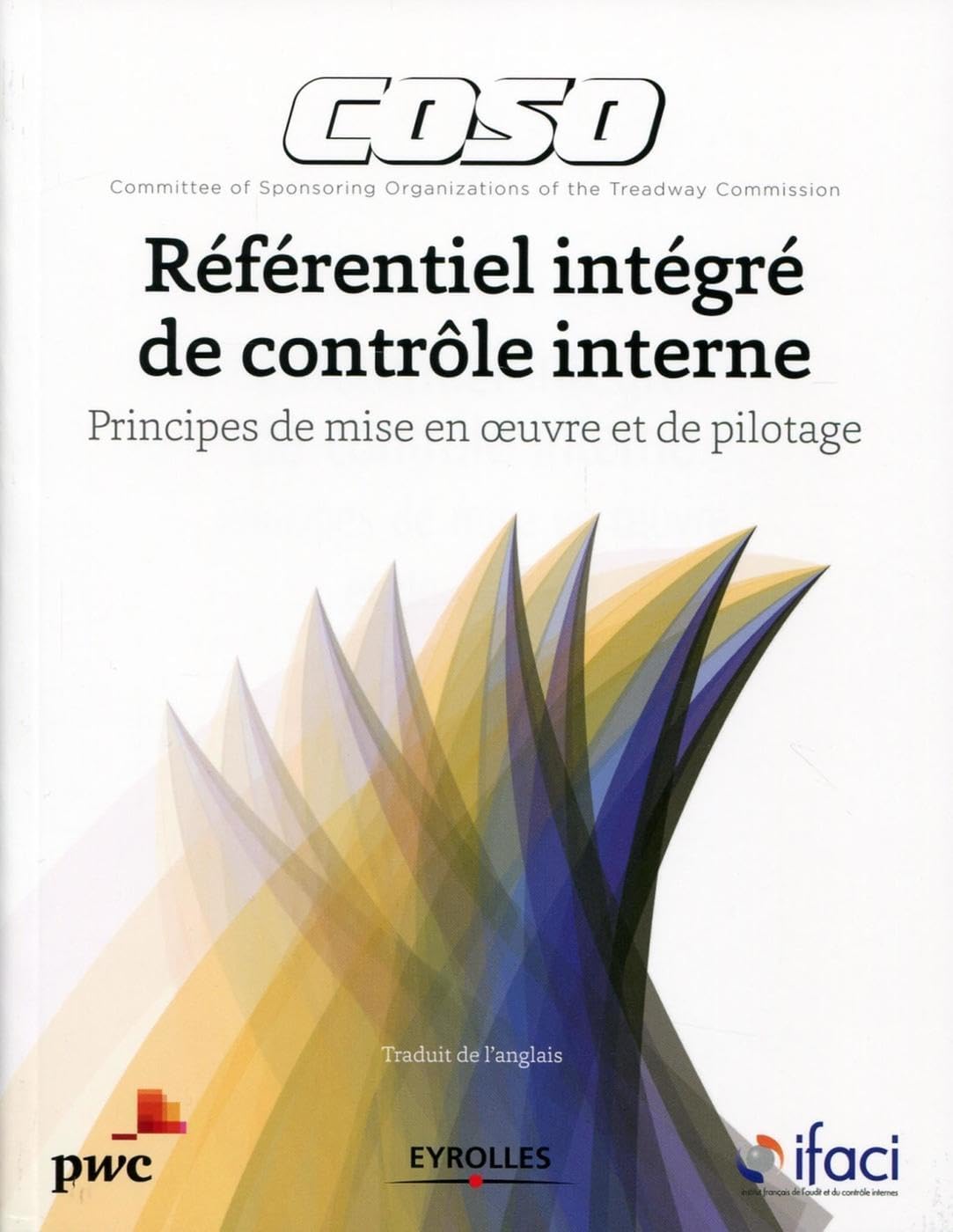 Coso - Référentiel intégré de contrôle interne: Principes de mise en oeuvre et de pilotage. Business, Finance & Career