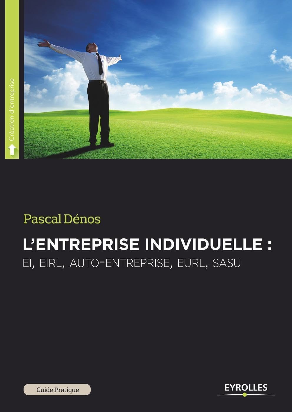 L'entreprise individuelle : EI, EIRL, auto-entreprise, EURL, SASU, pour se mettre à son compte en toute indépendance book
