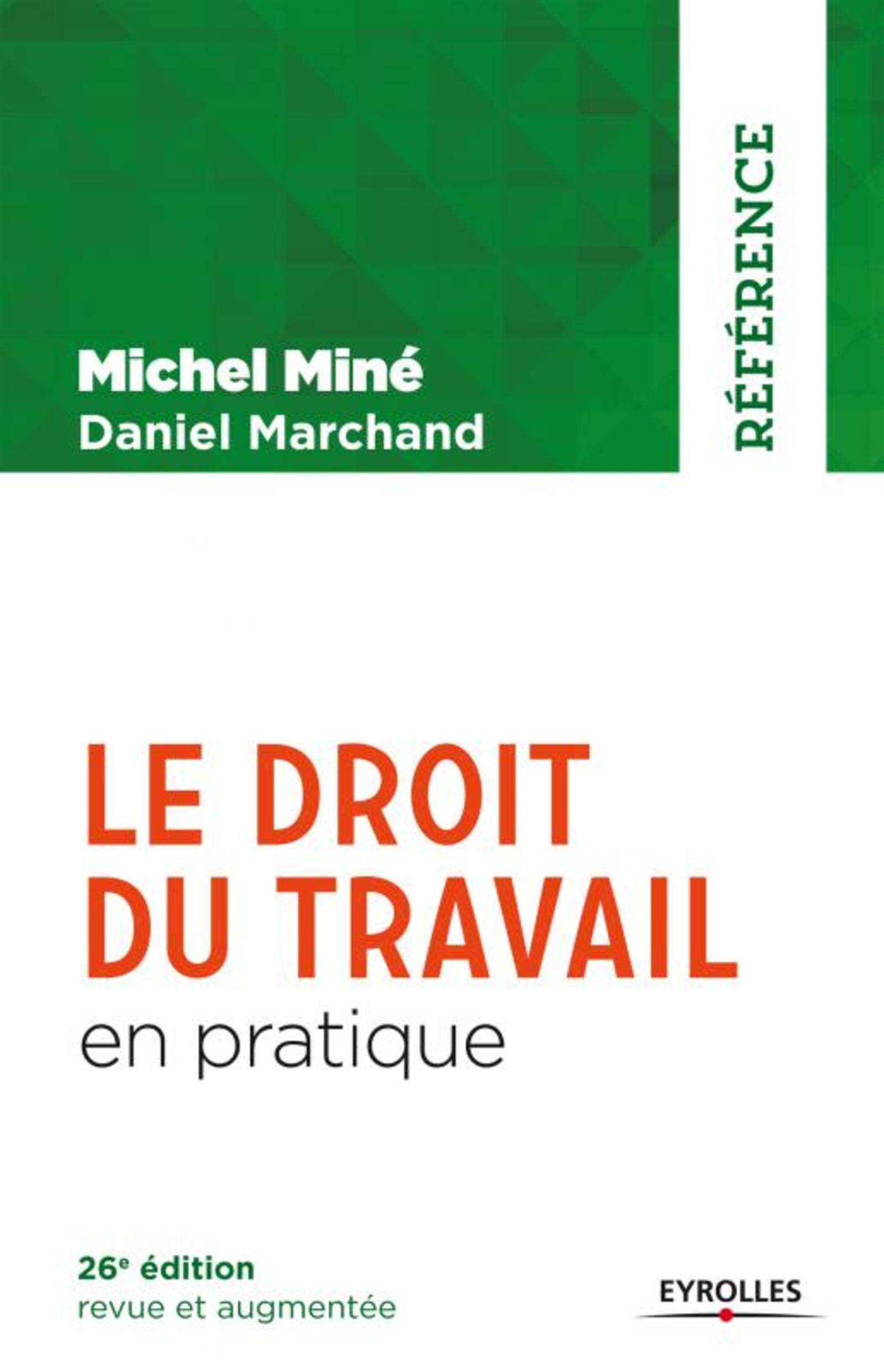 Le droit du travail en pratique: 26e édition revue et augmentée. Business, Finance & Career