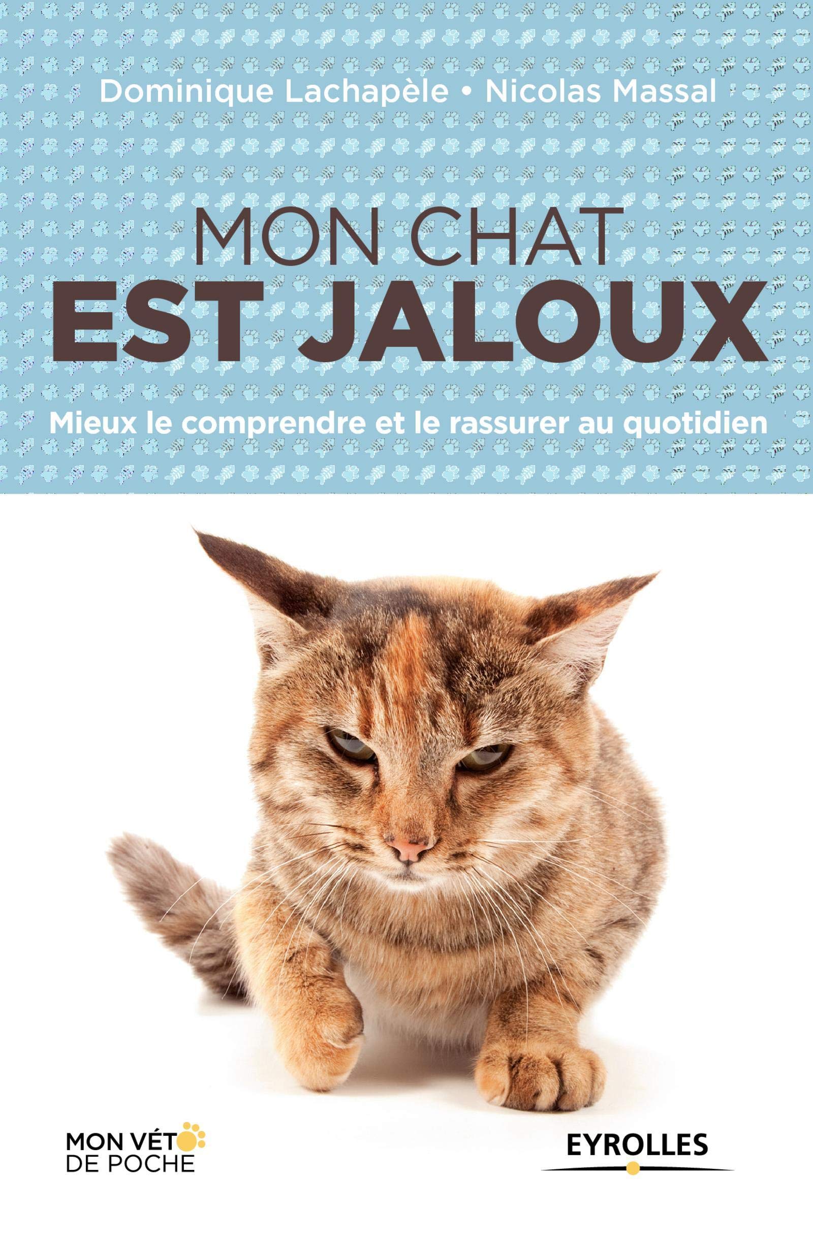 MON CHAT EST JALOUX MIEUX LE COMPRENDRE ET LE RASSURER AU QUOTIDIEN: MIEUX LE COMPRENDRE ET LE RASSURER AU QUOTIDIEN. Leisure, Home & Garden