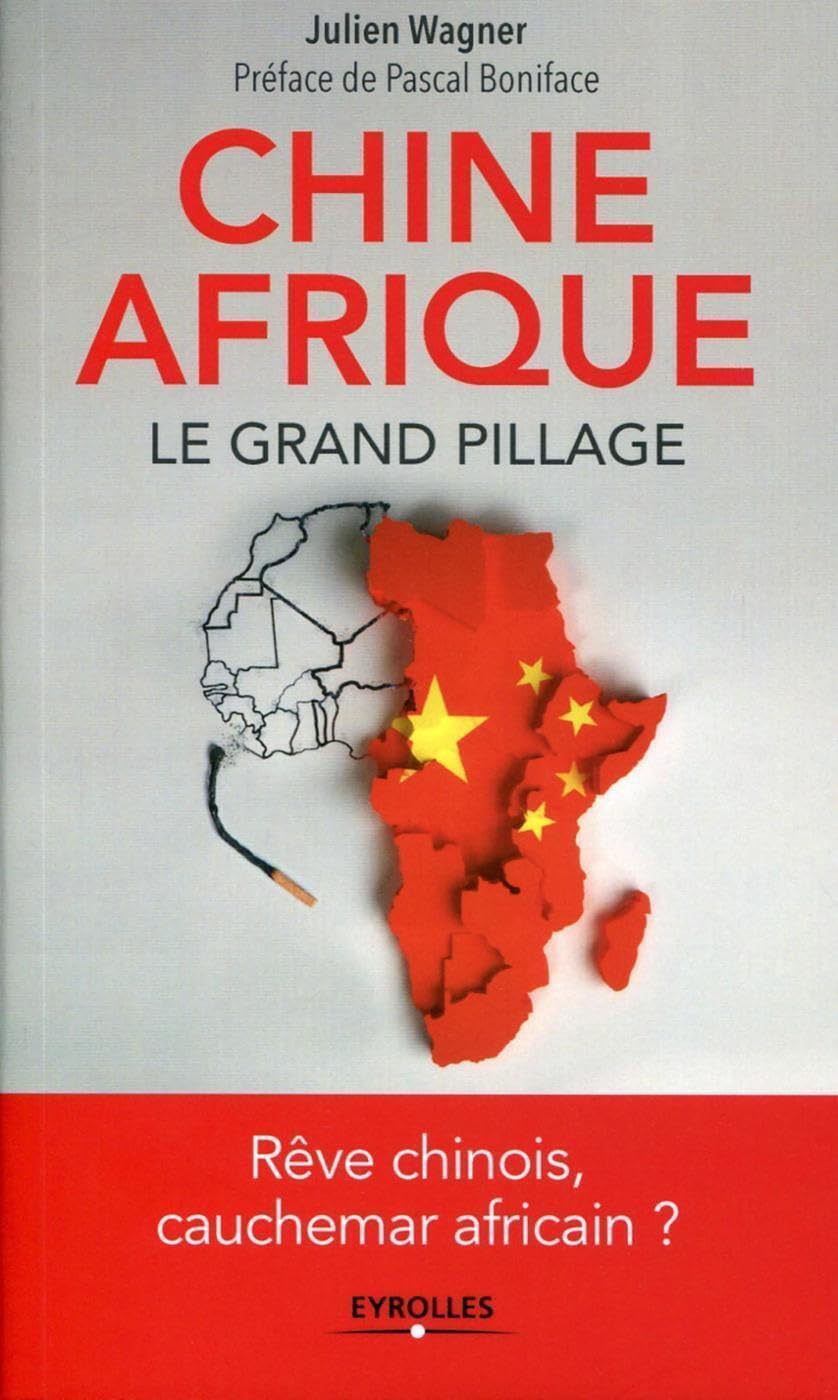 Chine/Afrique : Le grand pillage-Rêve chinois, cauchemar africain ? book