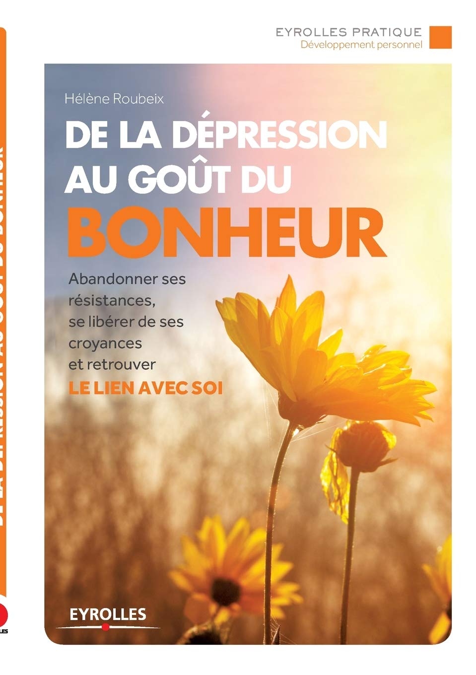 De la depression au goût du bonheur : Abandonner ses résistances, se libérer de ses croyances et retrouver le lien avec soi book