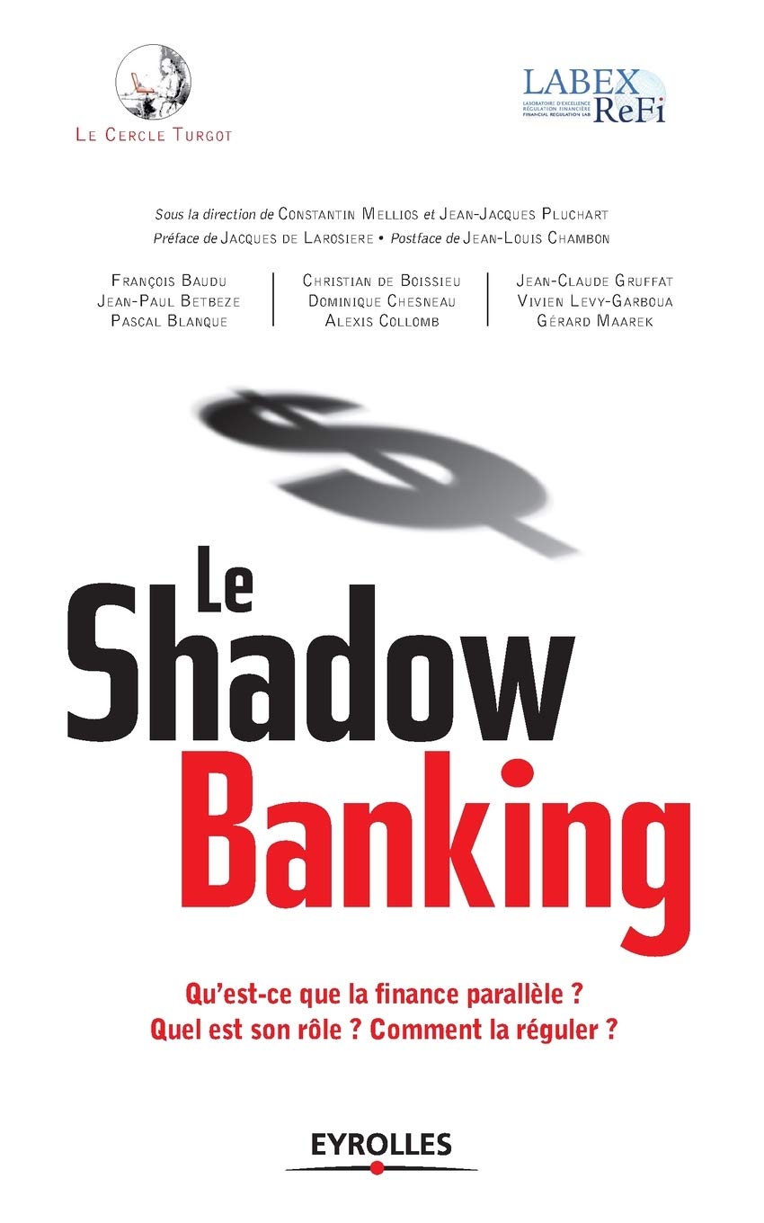 Le Shadow banking: Qu'est-ce que la finance parallèle ? Quel est son rôle ? Comment la réguler ? Business, Finance & Career