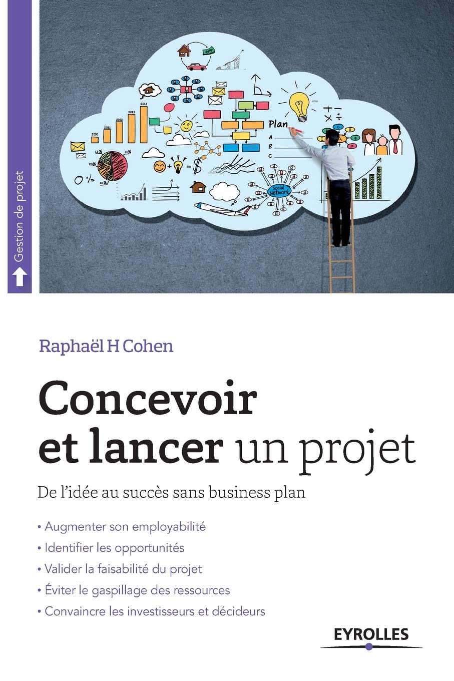 Concevoir et lancer un projet: De l'idée au succès sans business plan. book